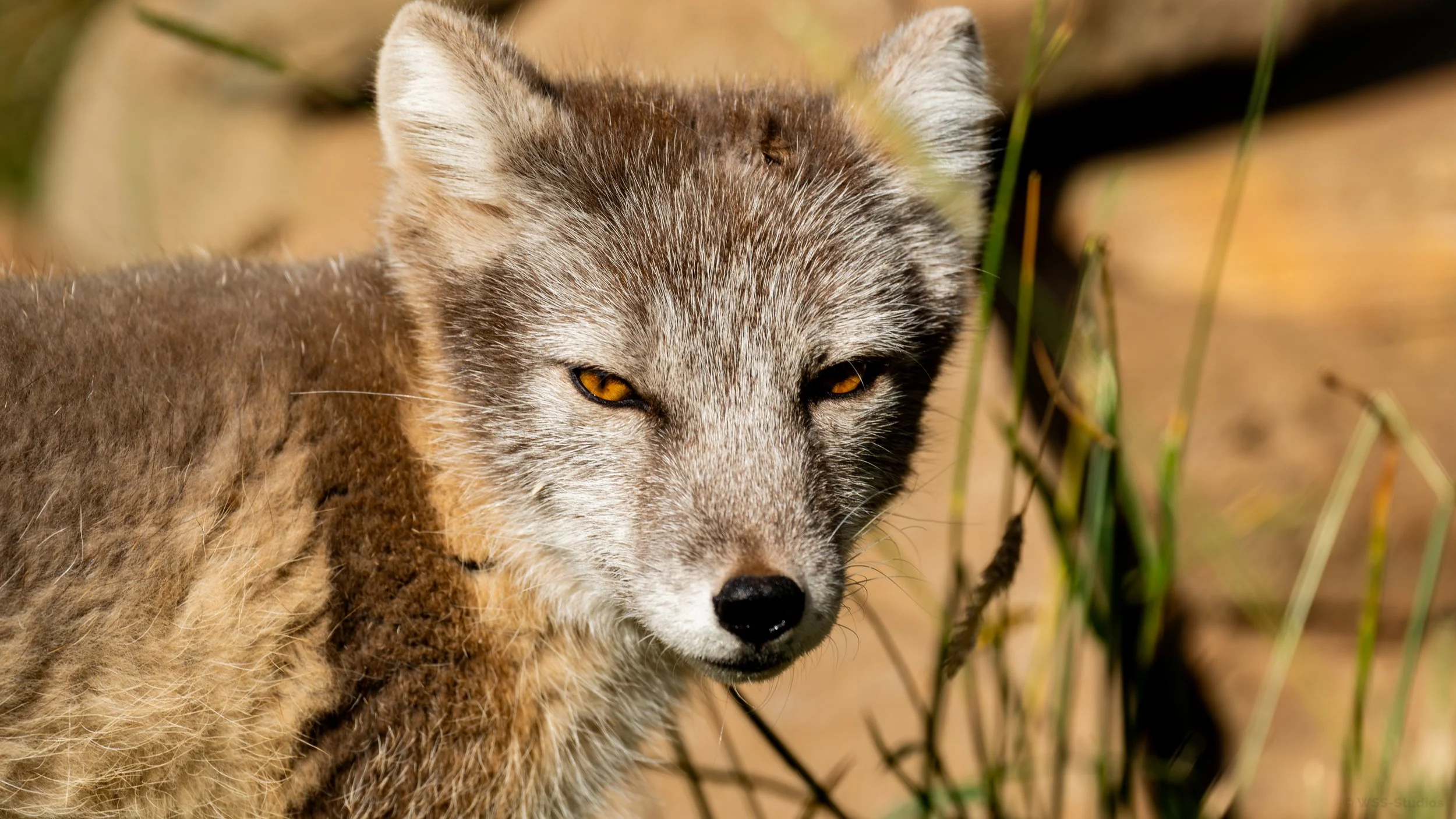 A7_01552-Enhanced-NR-2.jpg