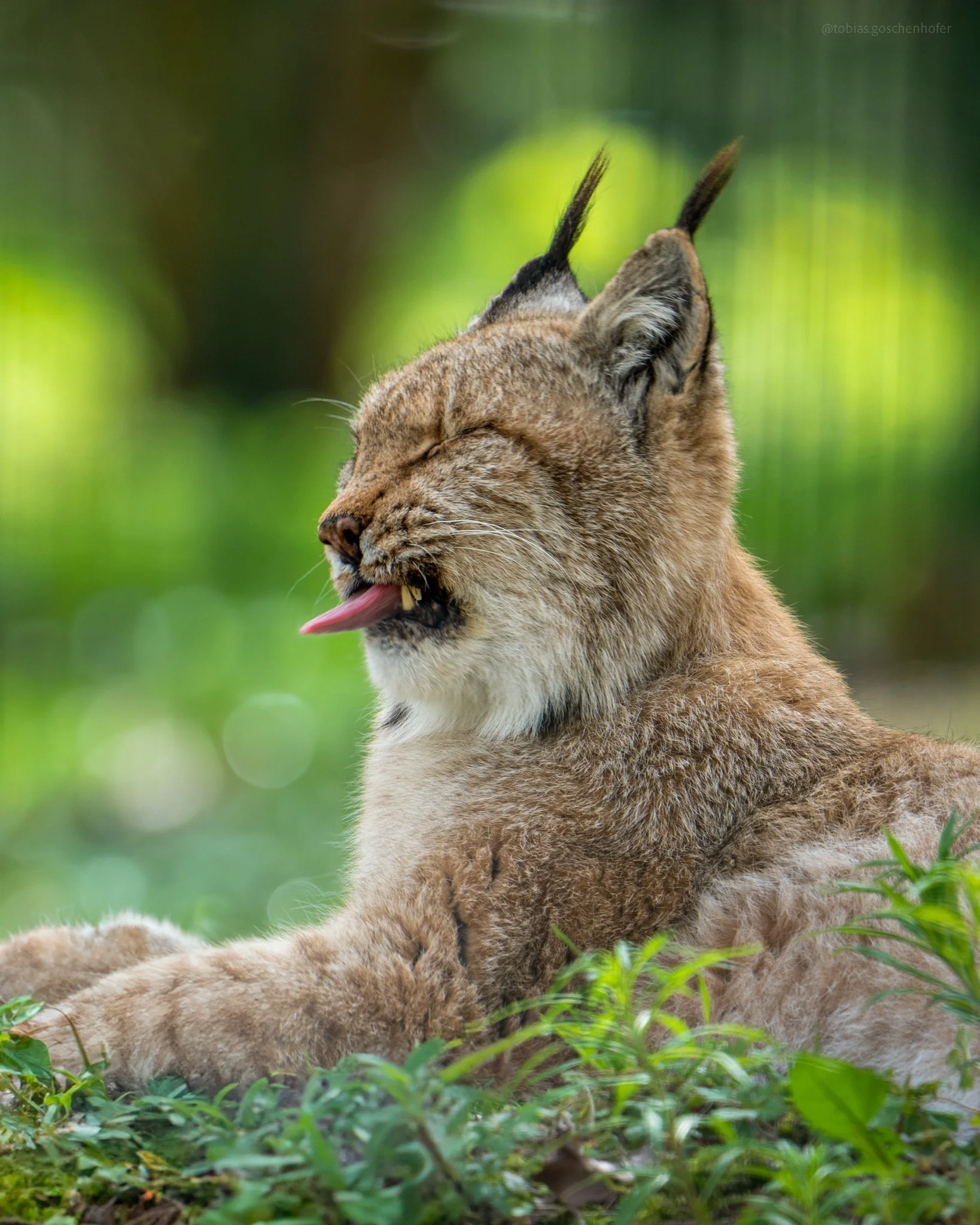 A7_04375-Edit.jpg