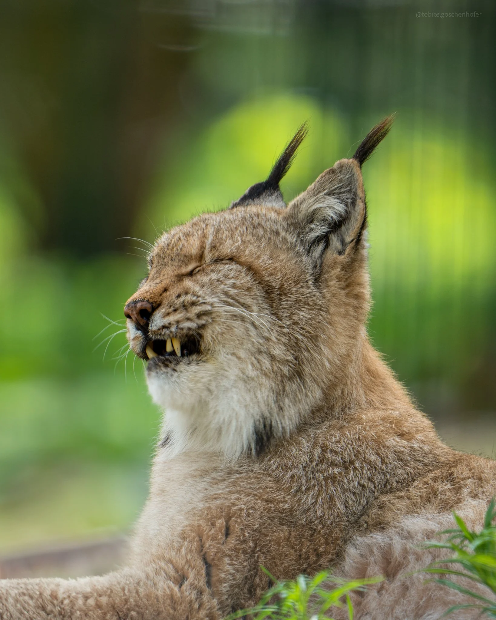 A7_04382-Edit.jpg