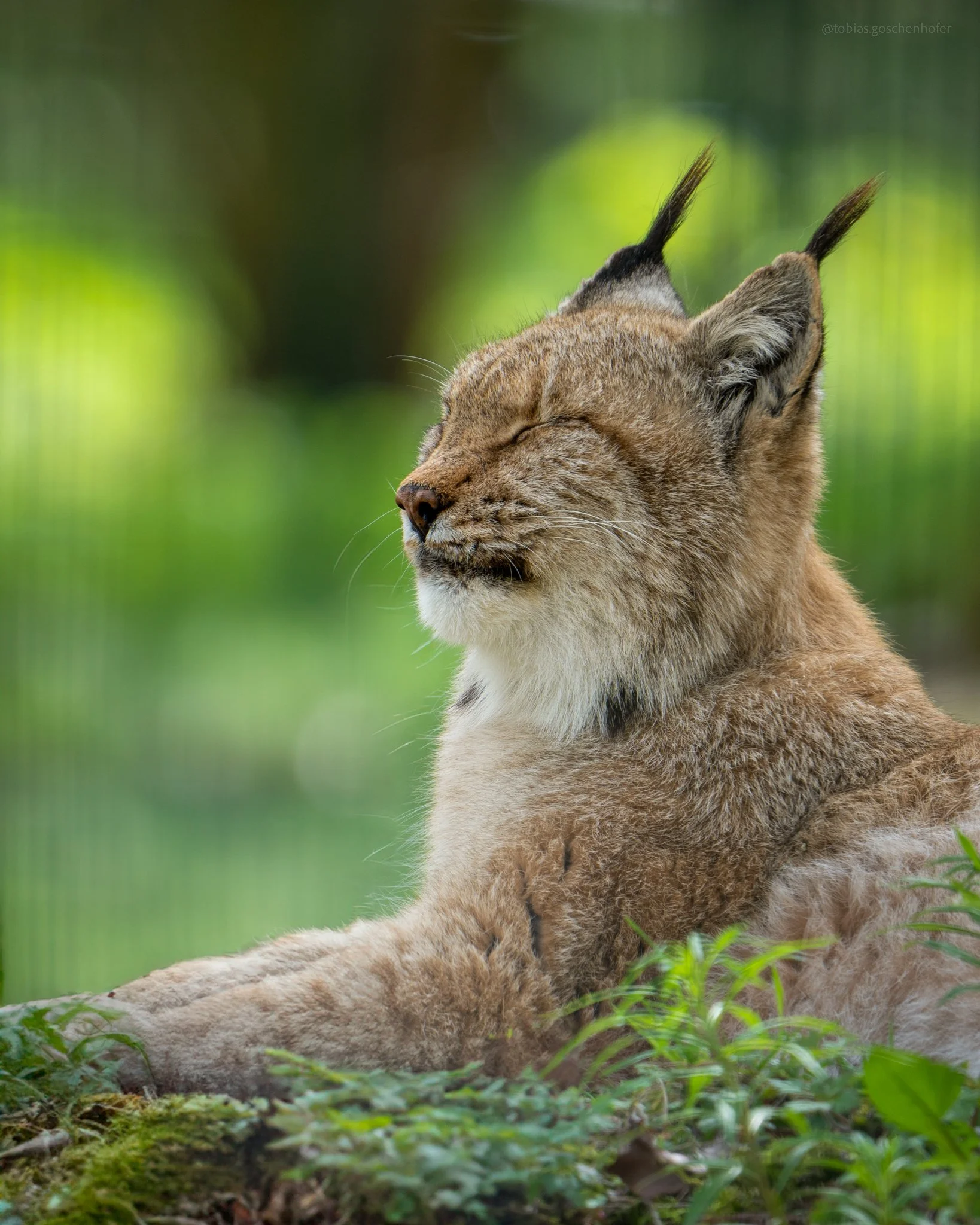 A7_04388-Edit.jpg