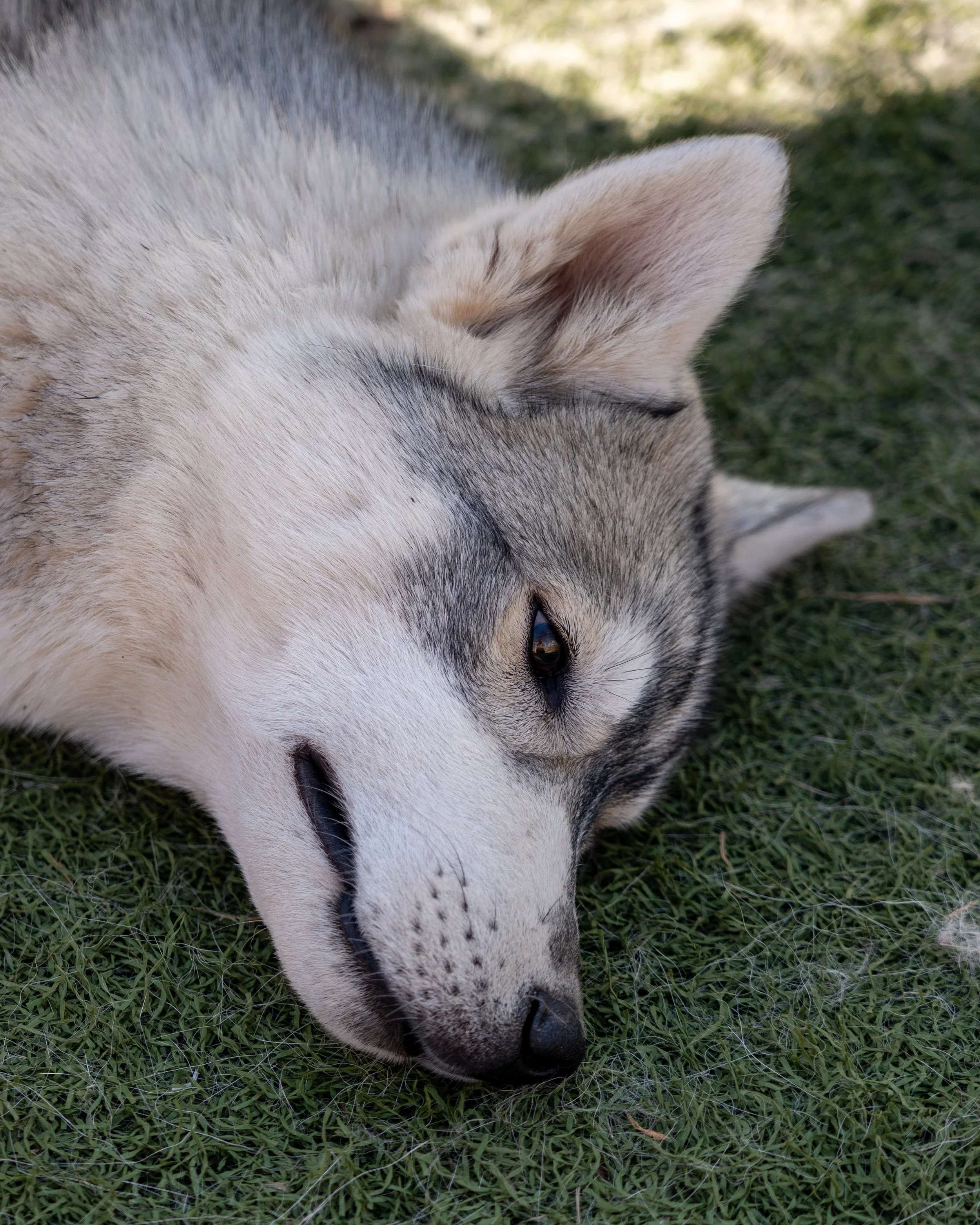 A7_01676-2.jpg