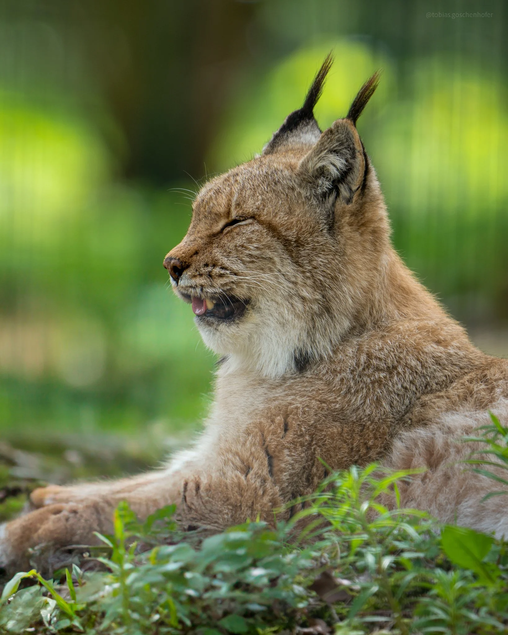 A7_04399-Edit.jpg