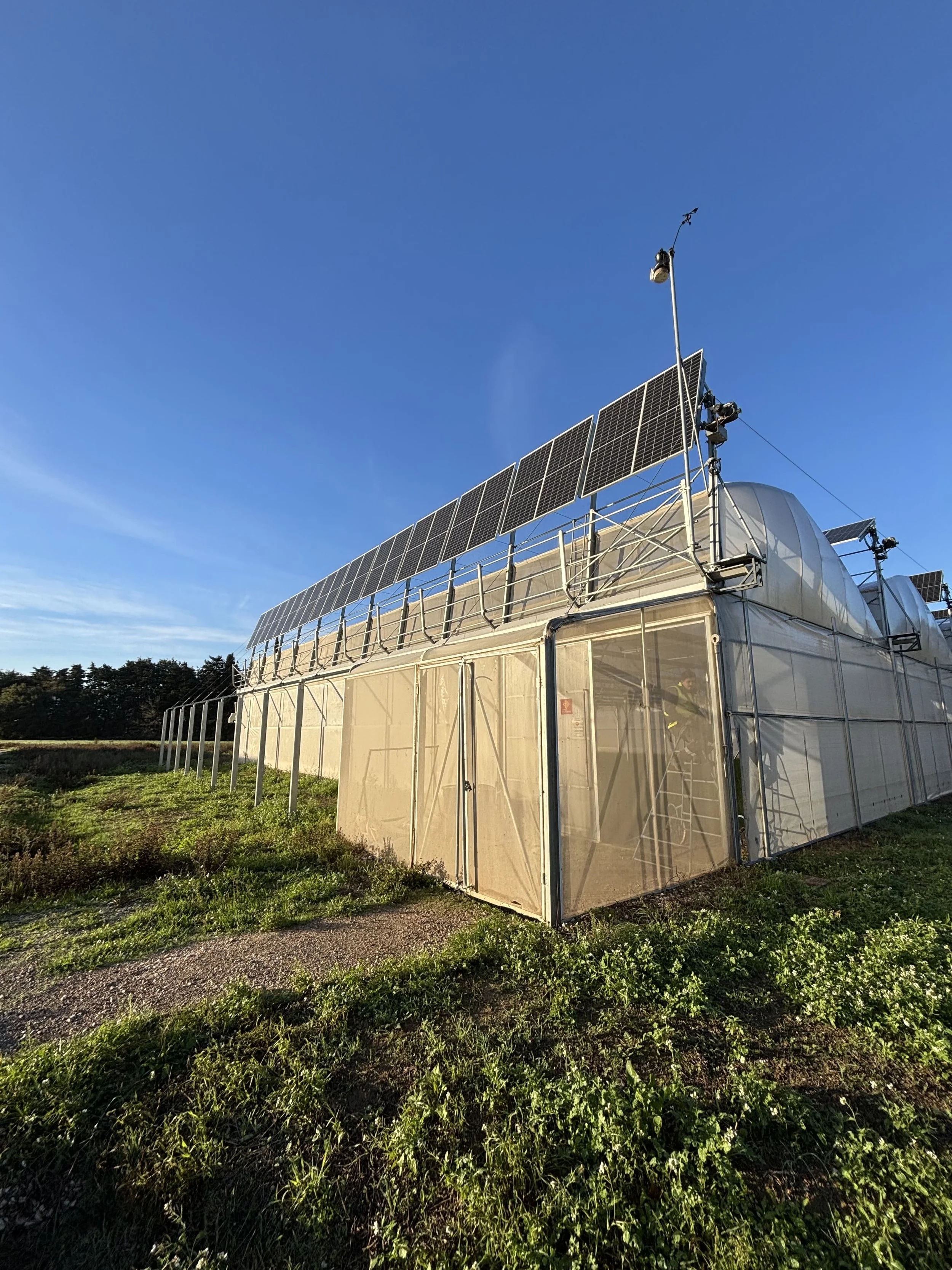 Maintenance at Agrivoltaic Sites_France_Enviroearth