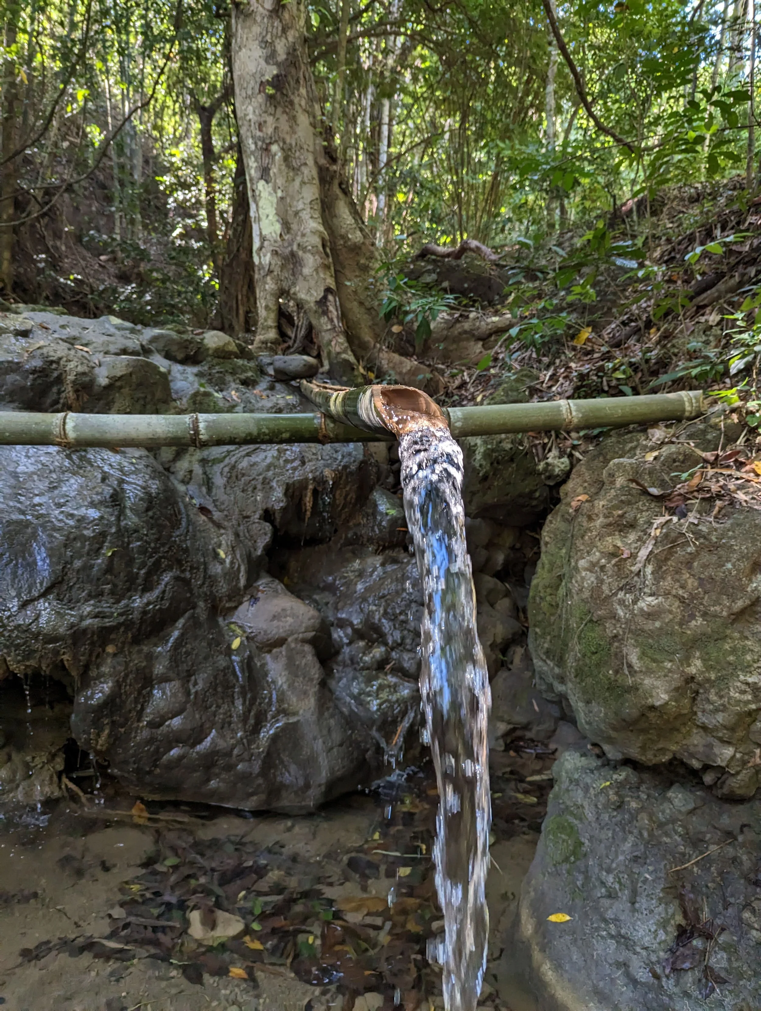 Solar Water Pumping_Timor Leste_Enviroearth