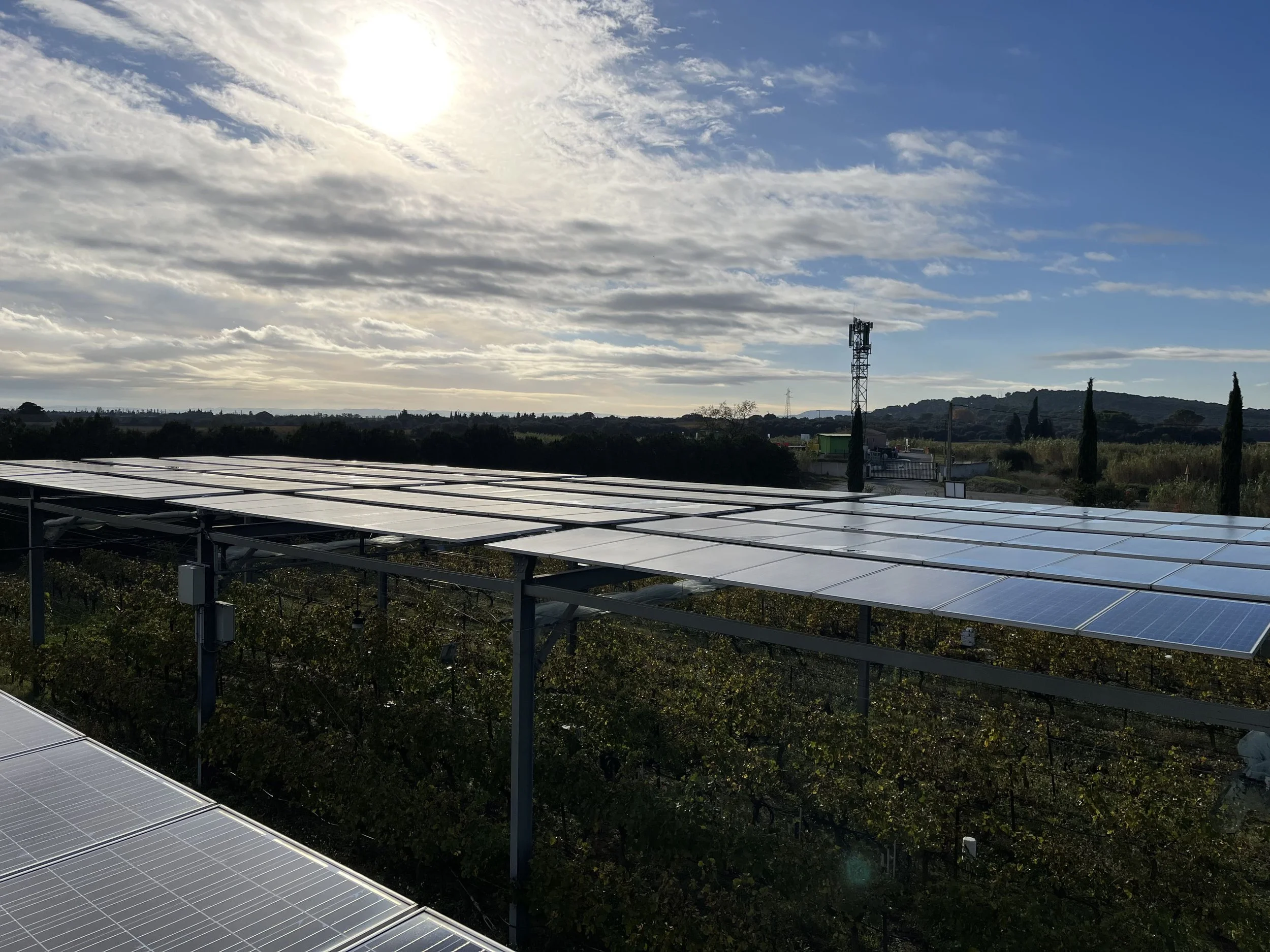 Maintenance at Agrivoltaic Sites_France_Enviroearth