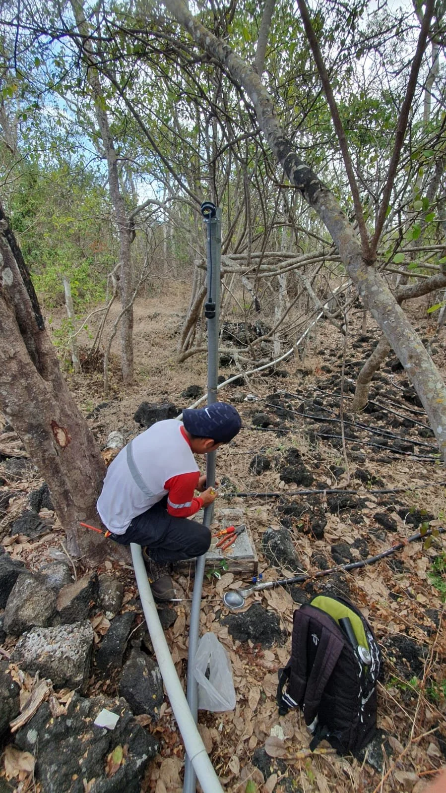 WhatsApp Image 2023-10-26 at 12.47.34 (3).jpeg