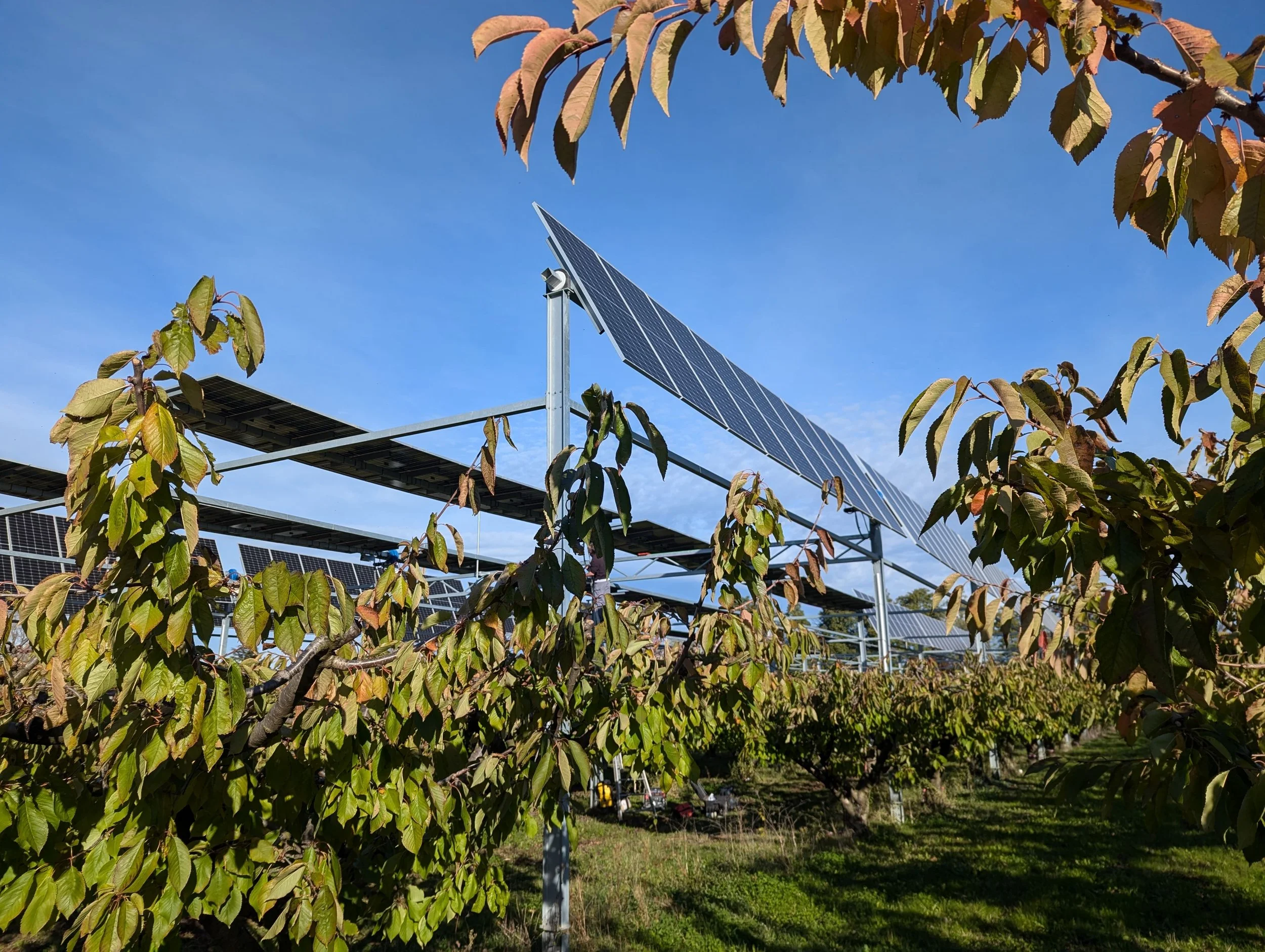 Maintenance at Agrivoltaic Sites_France_Enviroearth