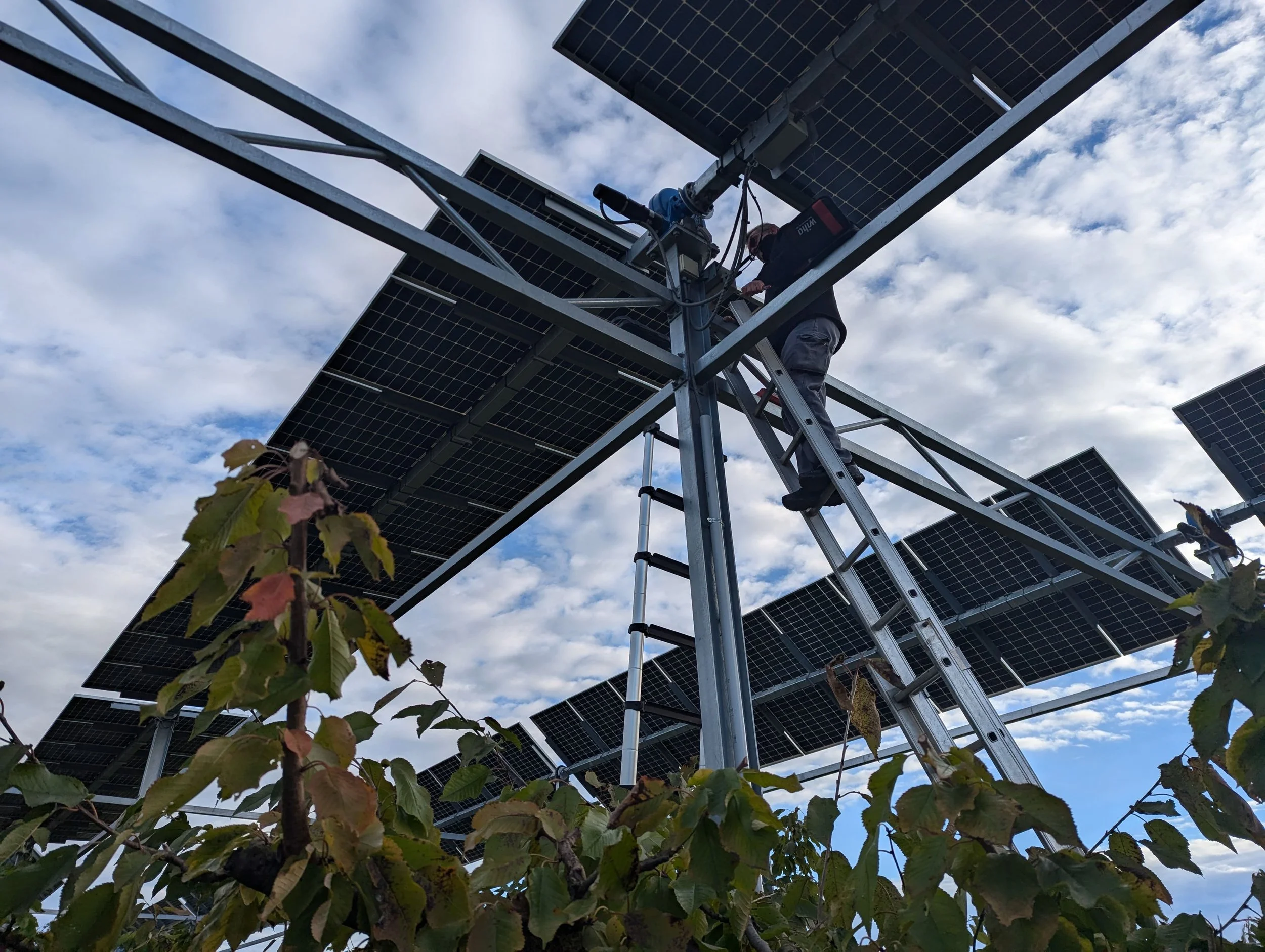 Maintenance at Agrivoltaic Sites_France_Enviroearth