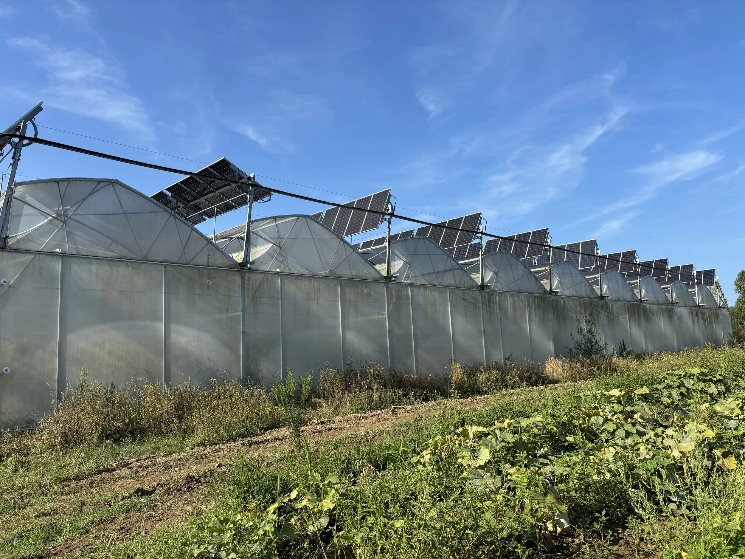 Maintenance at Agrivoltaic Sites_France_Enviroearth