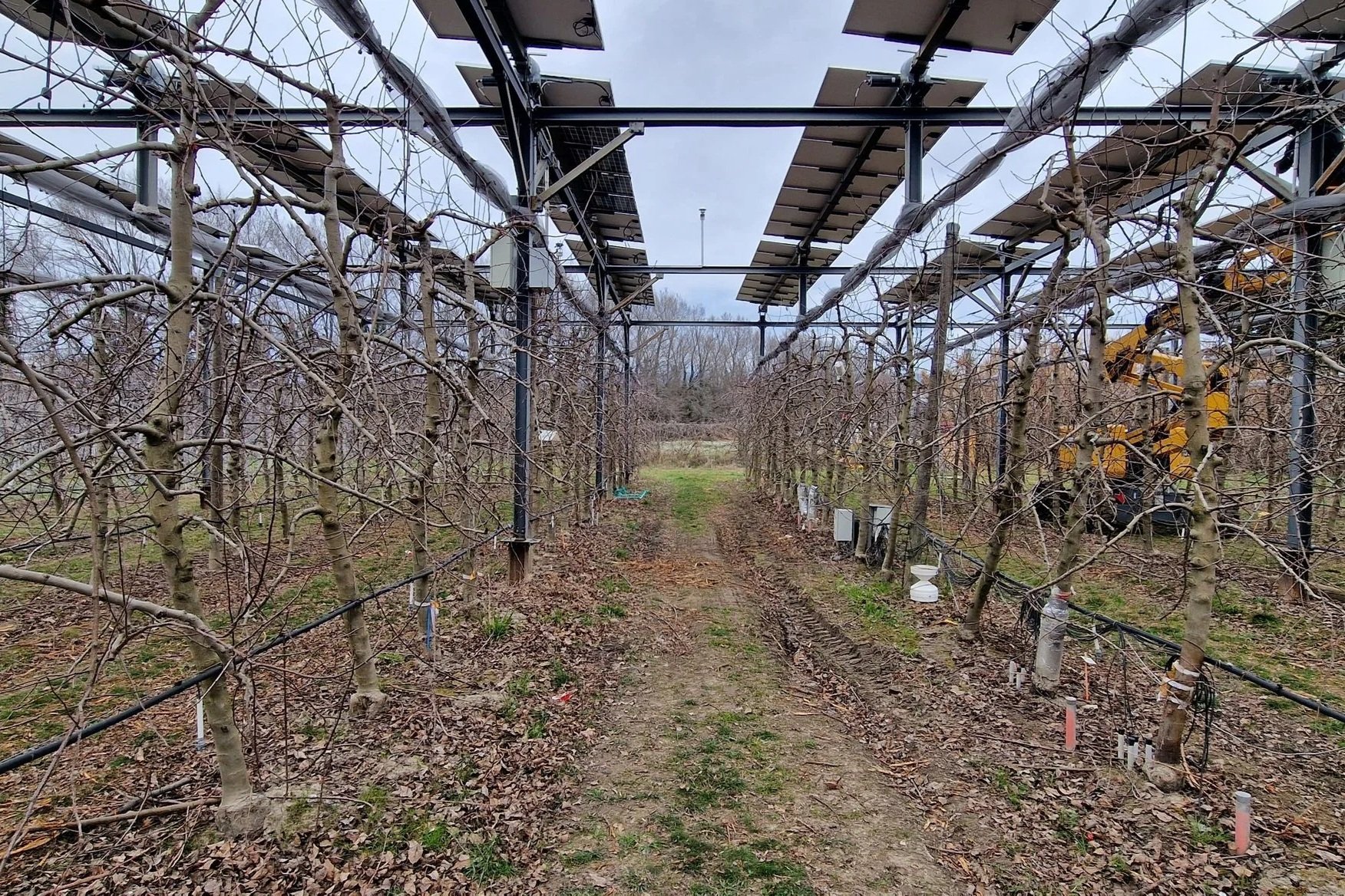 Maintenance at Agrivoltaic Sites_France_Enviroearth
