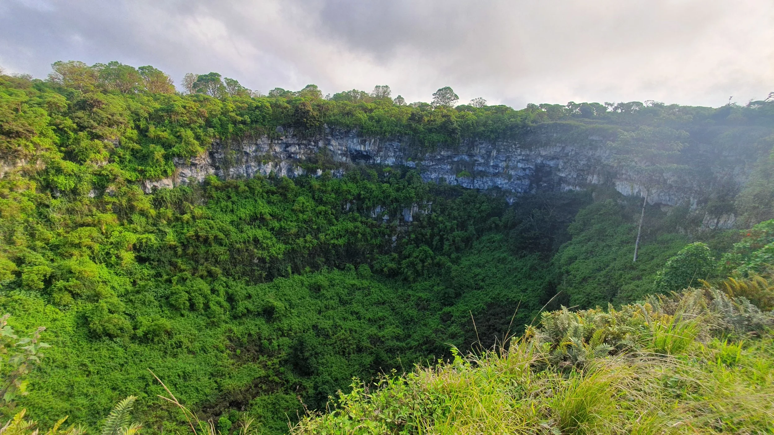 WhatsApp Image 2023-10-26 at 12.44.00 (1).jpeg