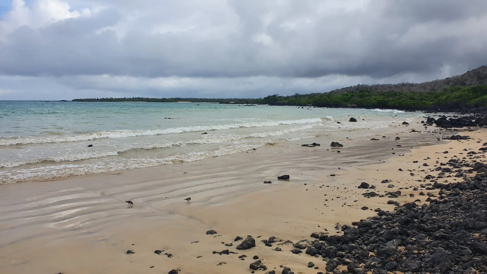 WhatsApp Image 2023-10-26 at 12.45.34.jpeg