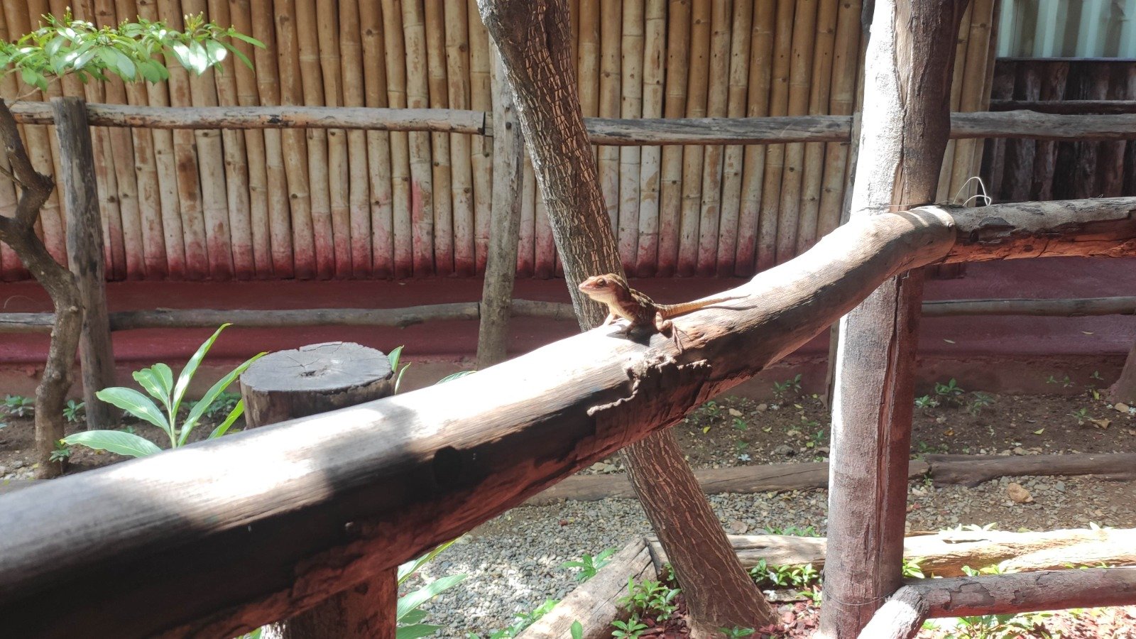 WhatsApp Image 2024-10-18 at 15.01.13 (1).jpeg