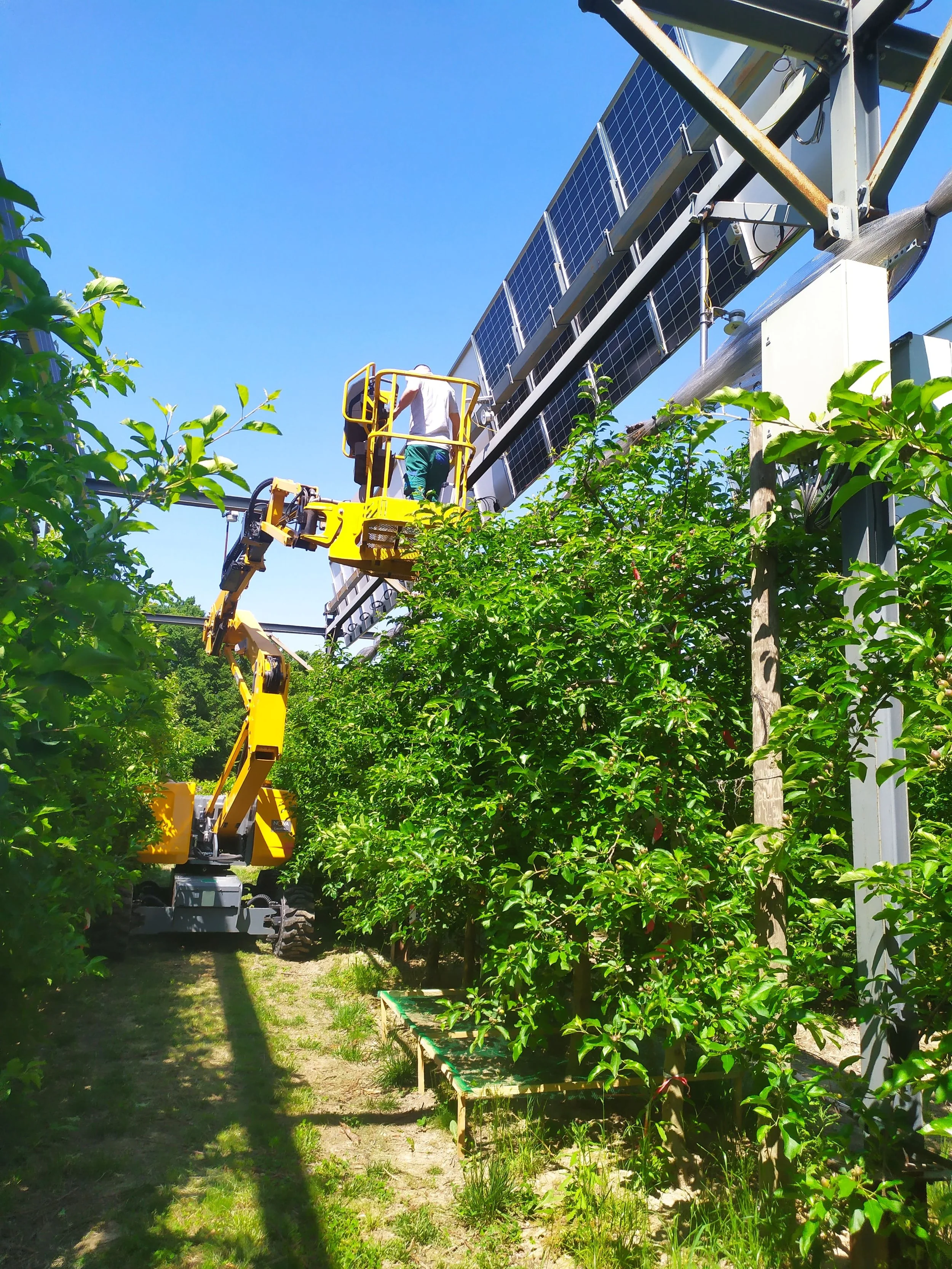 Maintenance at Agrivoltaic Sites_France_Enviroearth