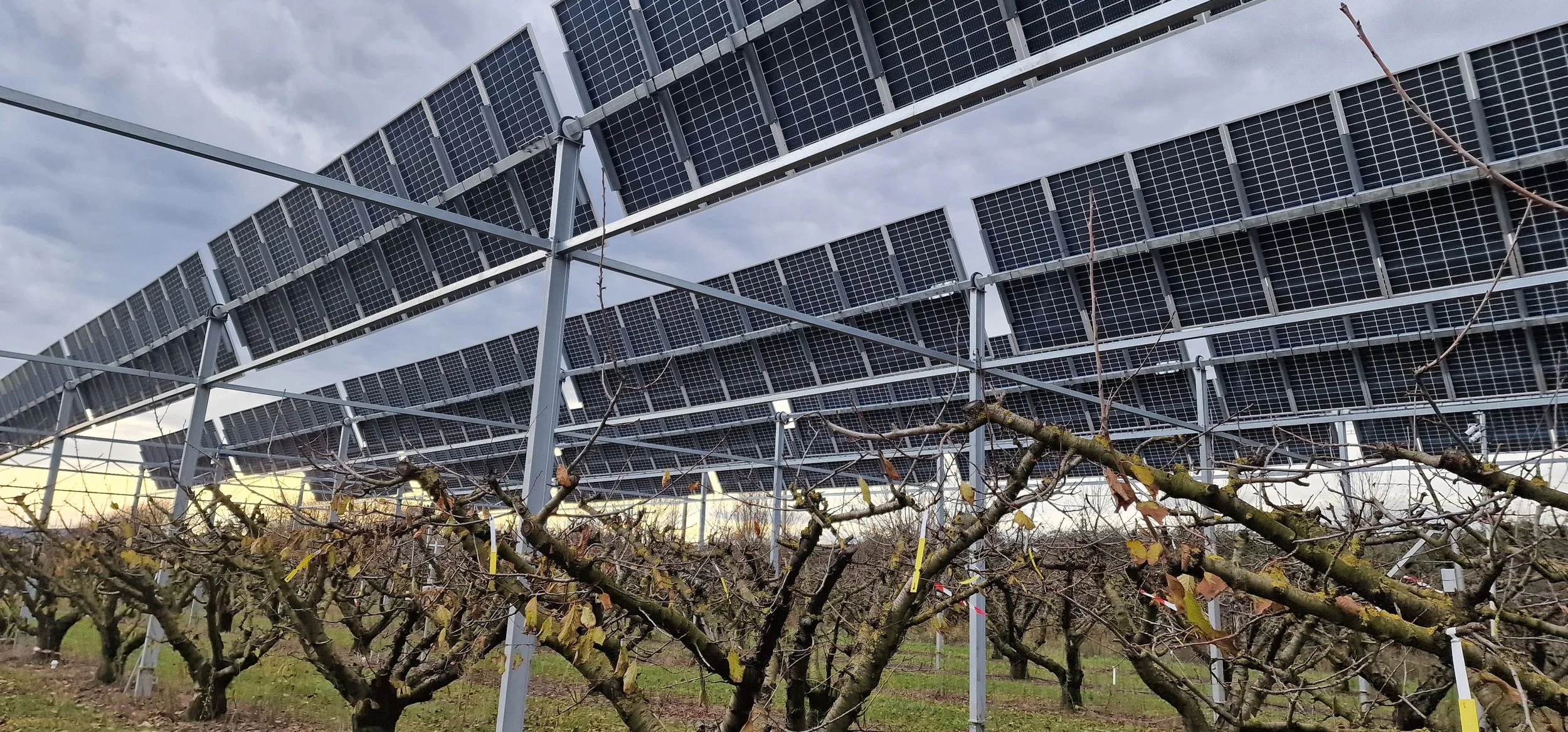 Maintenance at Agrivoltaic Sites_France_Enviroearth