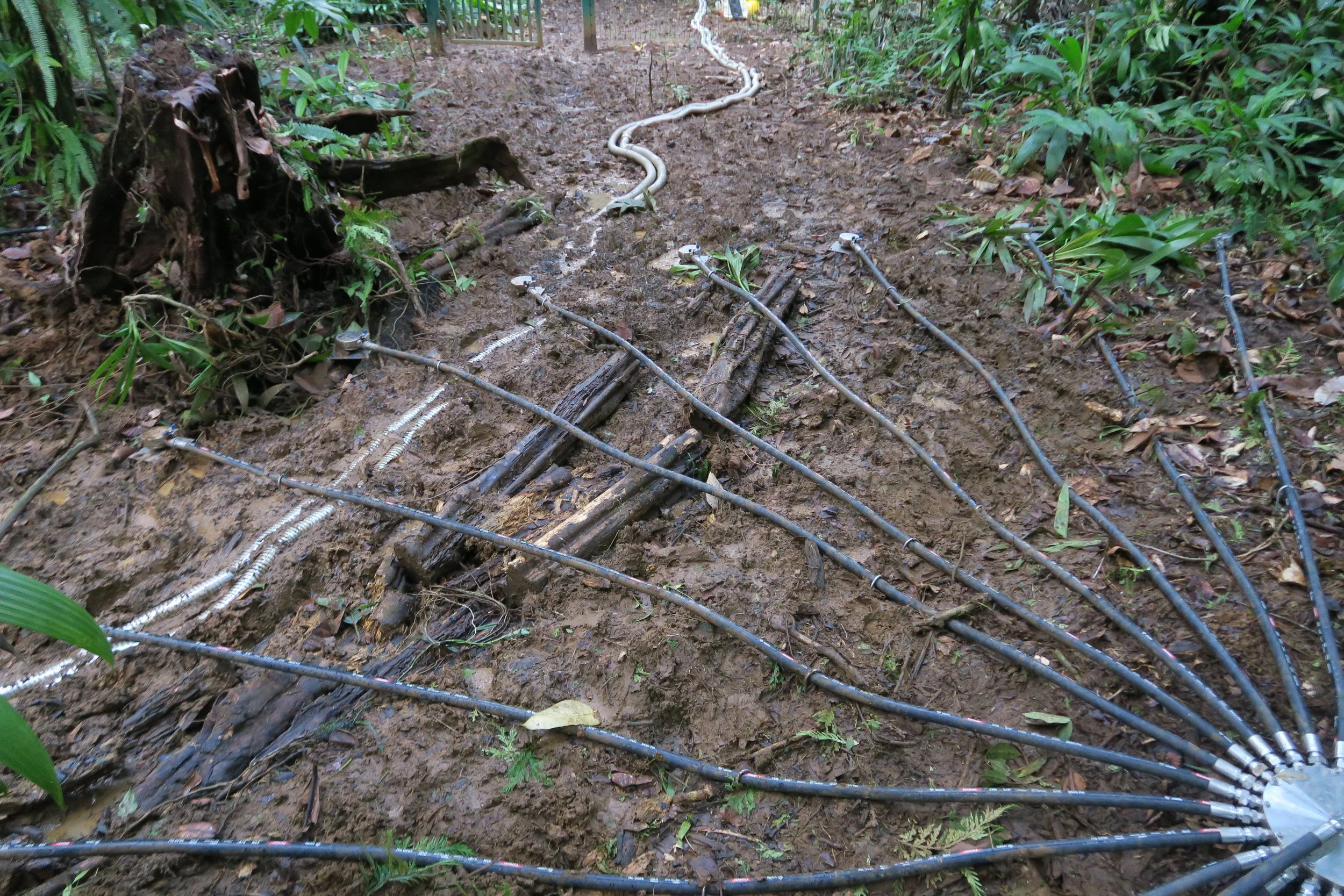 H5 Compromise between unmovable root and muddy channel.JPG