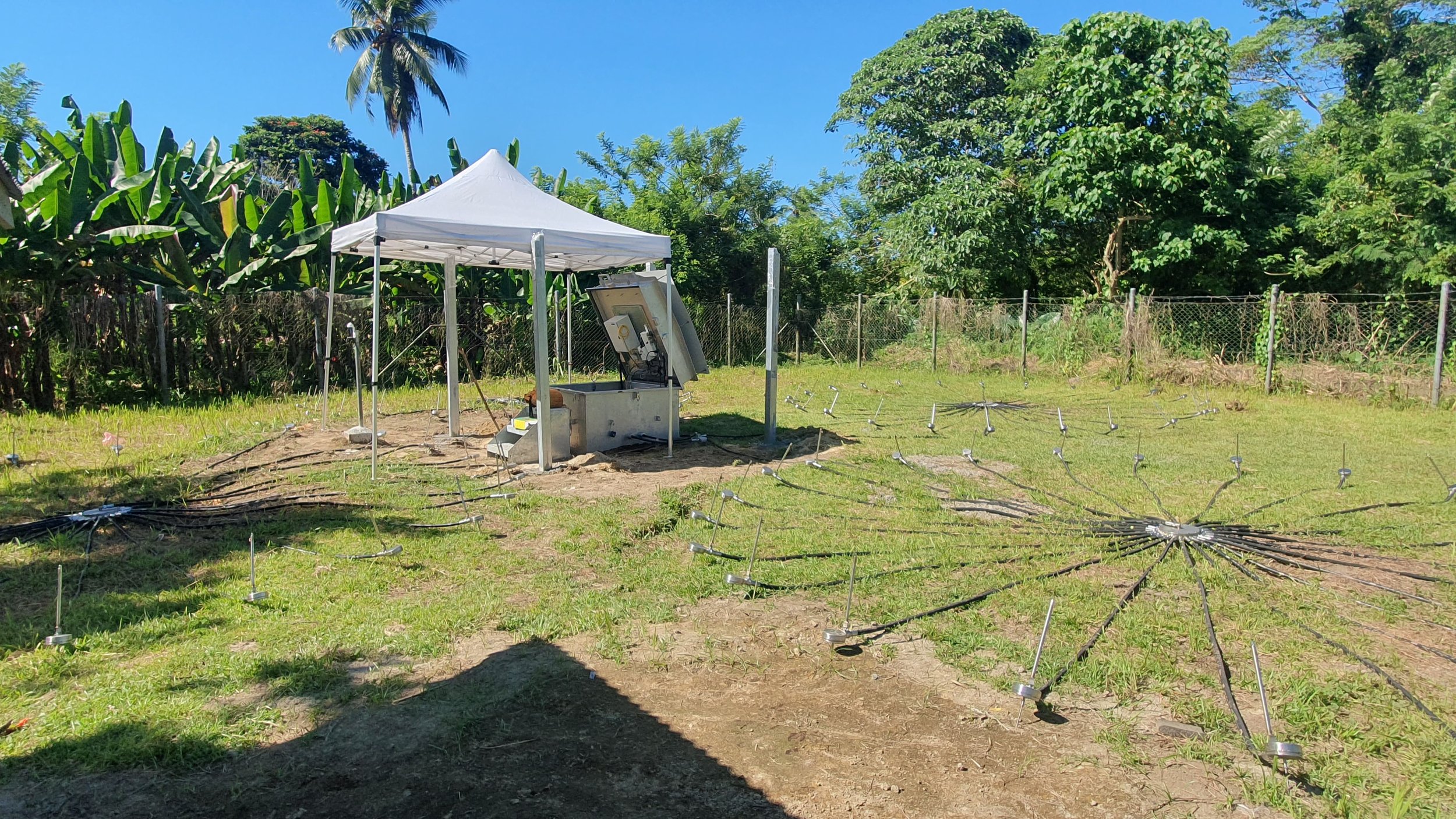 WhatsApp Image 2024-05-22 at 10.33.28.jpeg