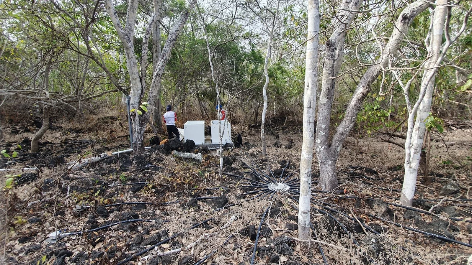 WhatsApp Image 2023-10-26 at 12.47.34 (2).jpeg