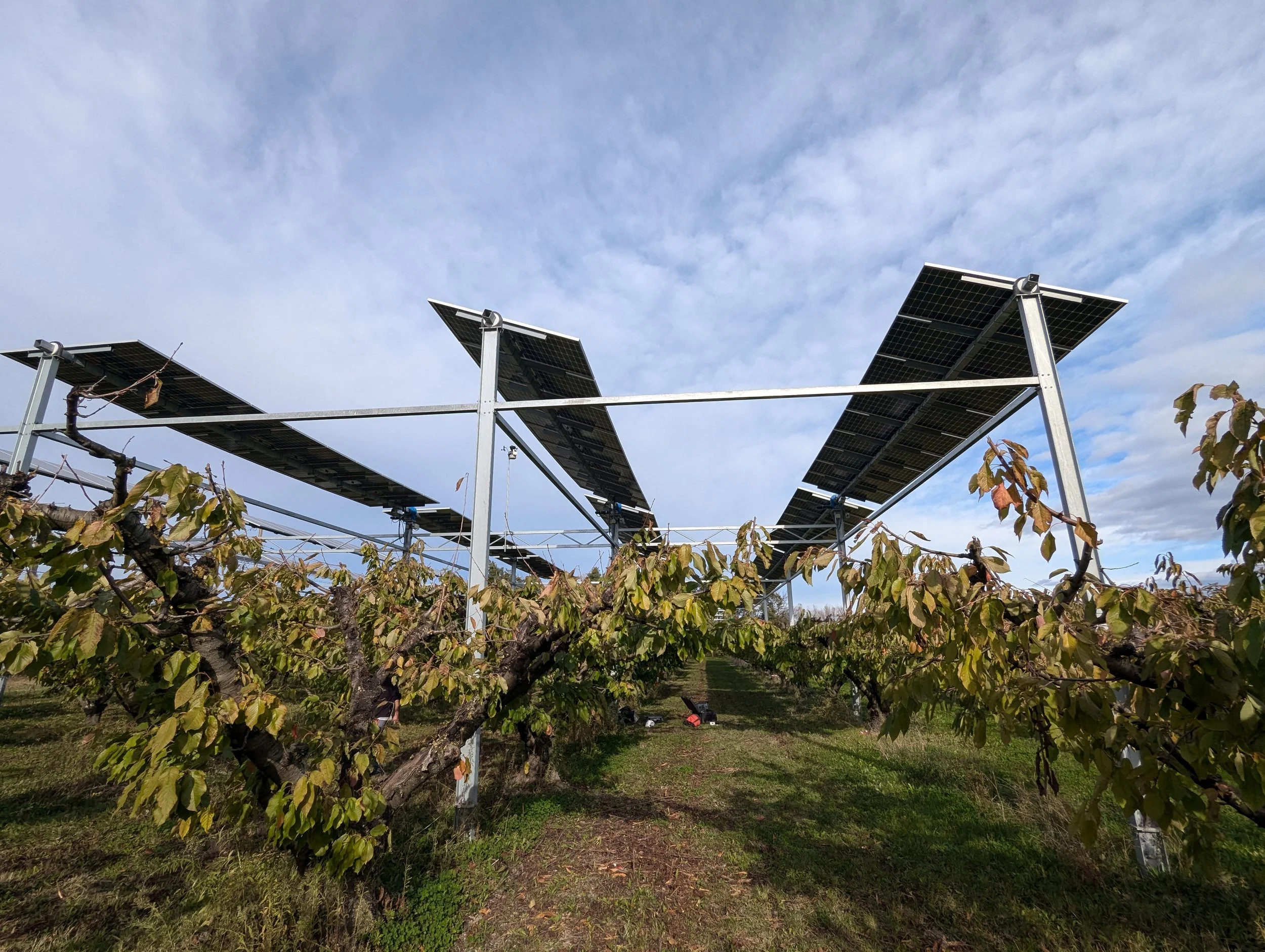 Maintenance at Agrivoltaic Sites_France_Enviroearth