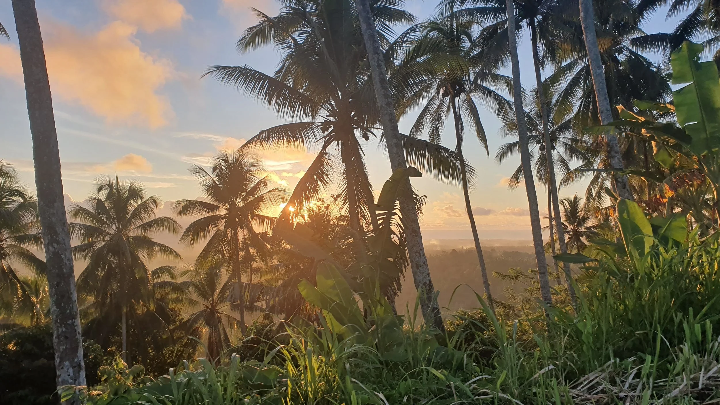 WhatsApp Image 2024-05-22 at 10.33.32.jpeg