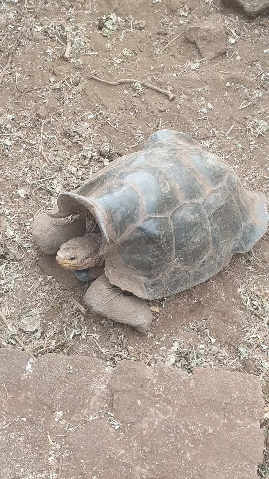 WhatsApp Image 2023-10-26 at 12.45.34 (3).jpeg