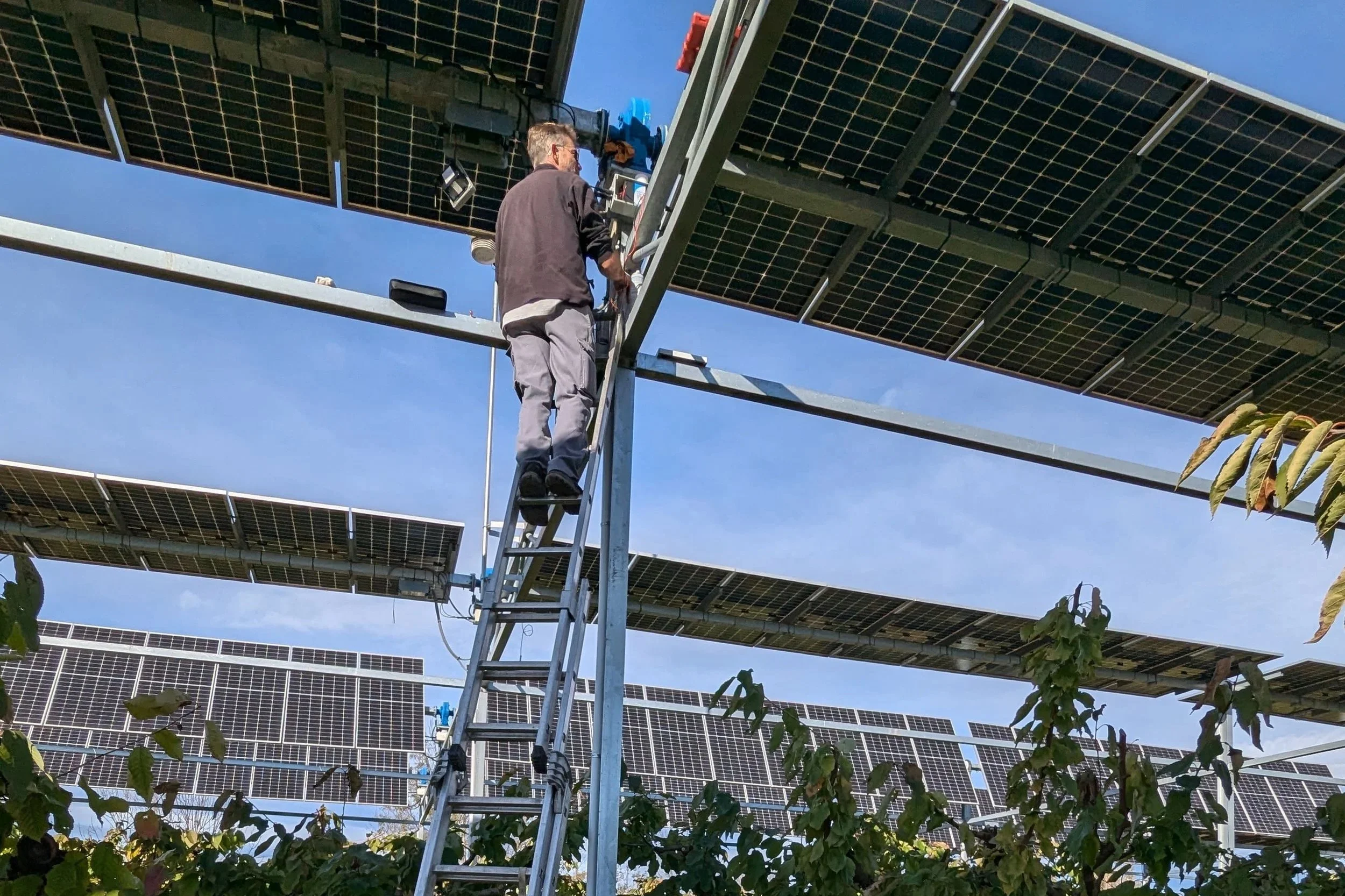 Maintenance at Agrivoltaic Sites_France_Enviroearth