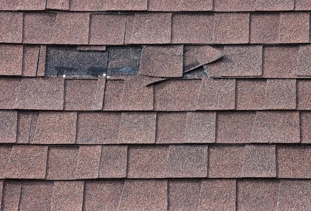 Example of a shingle roof that has wind damaged. The reddish brown roof has missing shingles and uplifted shingles caused by strong minnesota wind.