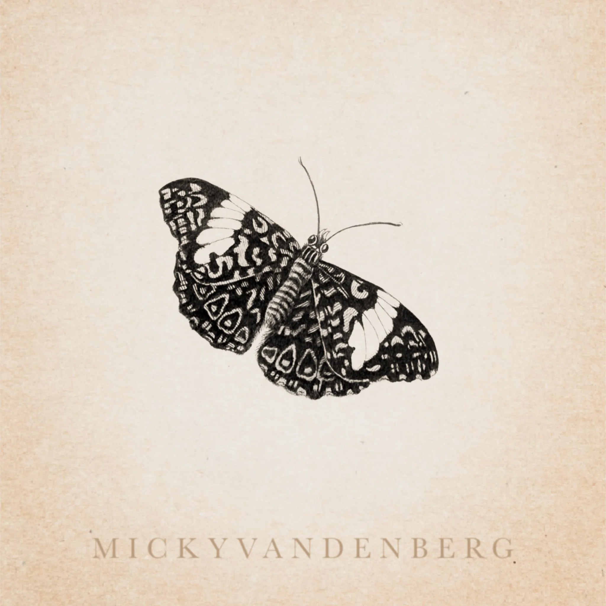 A close-up image of the butterfly sketch titled 'Mickey Wand Berries' by Mickey Wandenberg.