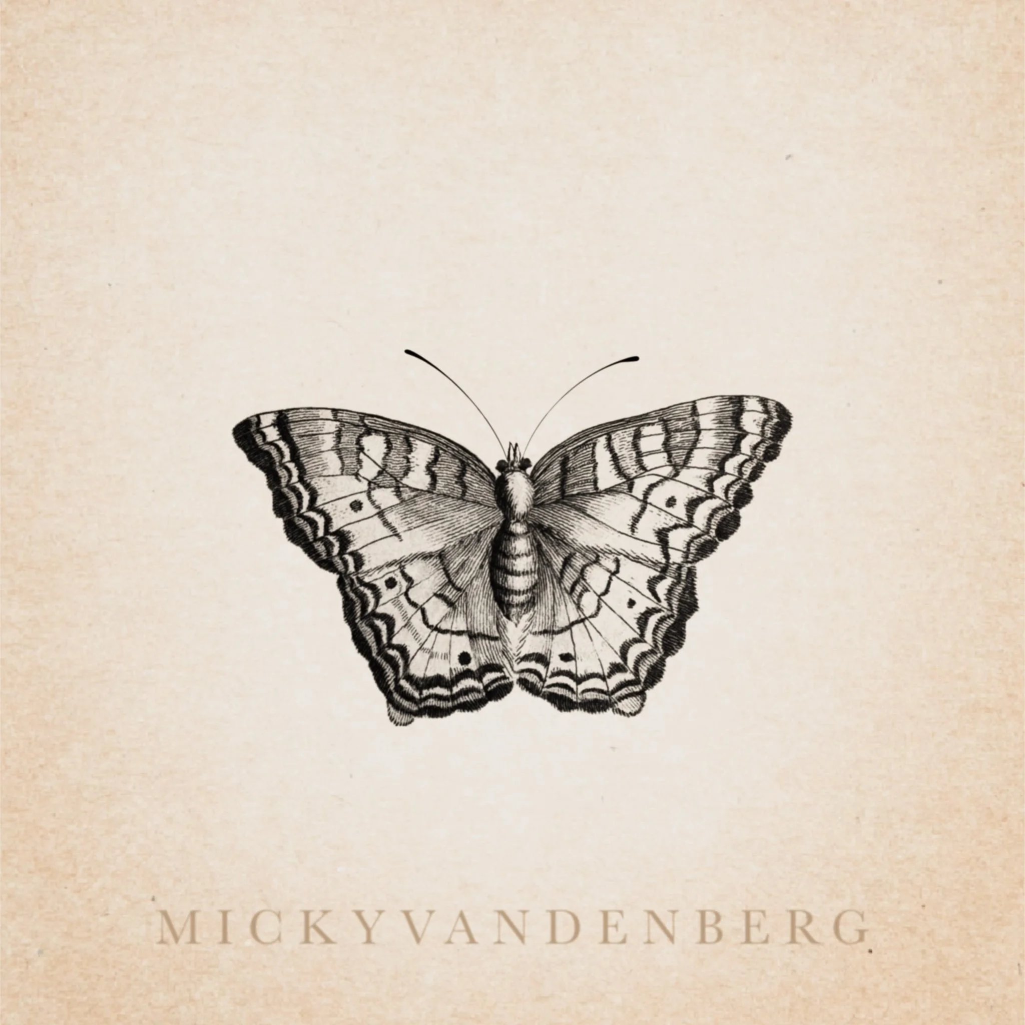 Close-up of a beige book cover with an illustration of a butterfly and faint text reading 'Mickey Van den Berg'.