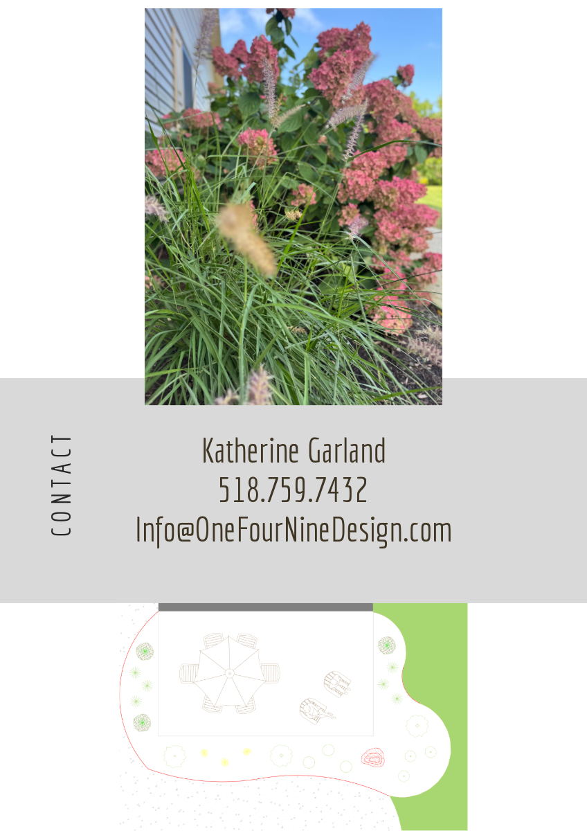 Close-up of pink flowering shrub and ornamental grasses in a garden with a blue sky background.