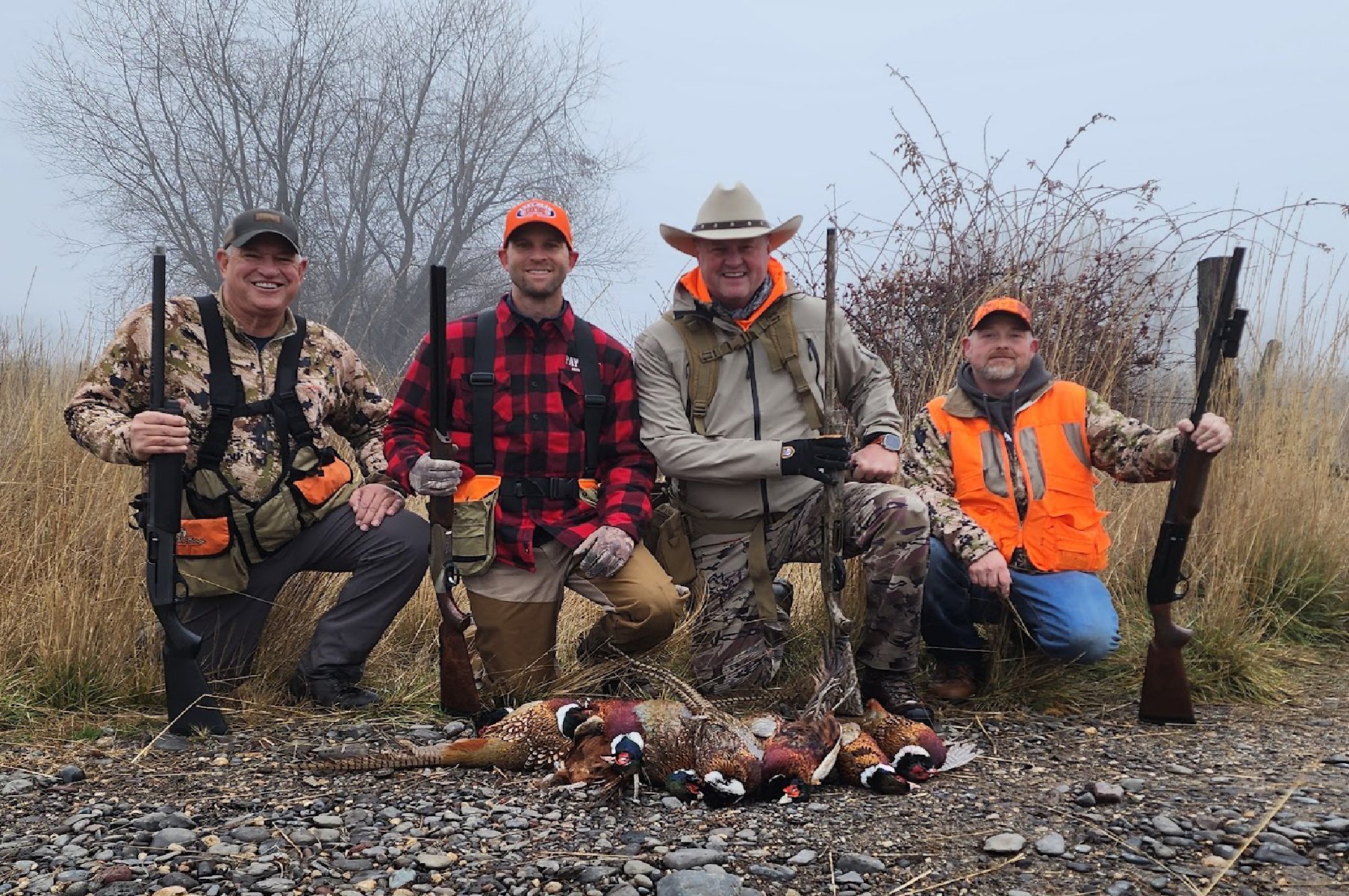 Pheasant Hunting 2.jpg