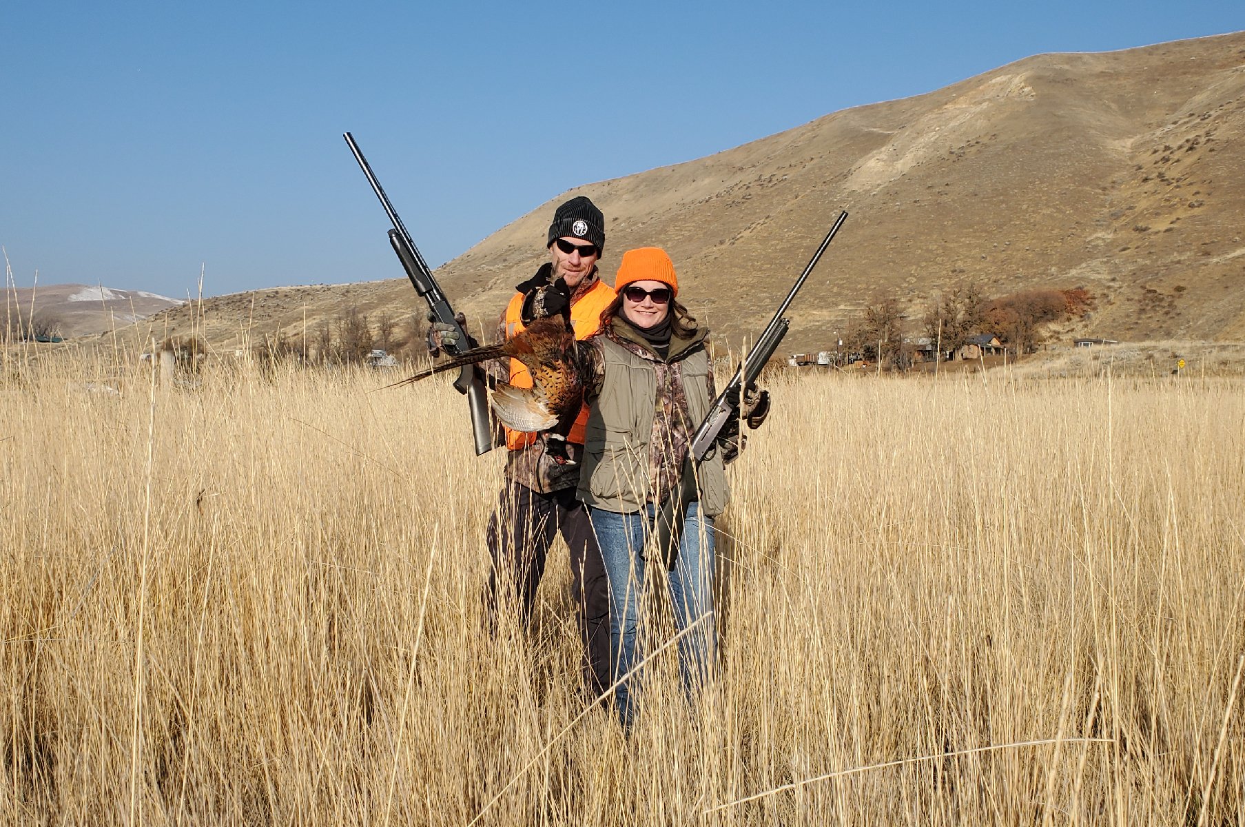 Pheasant Hunting 4.jpg