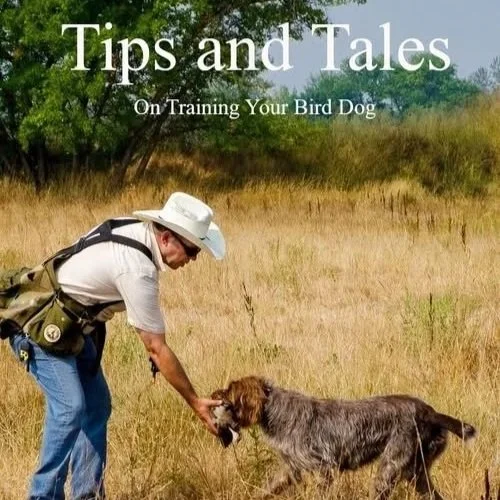 Book+cover+tips+and+tails.jpg