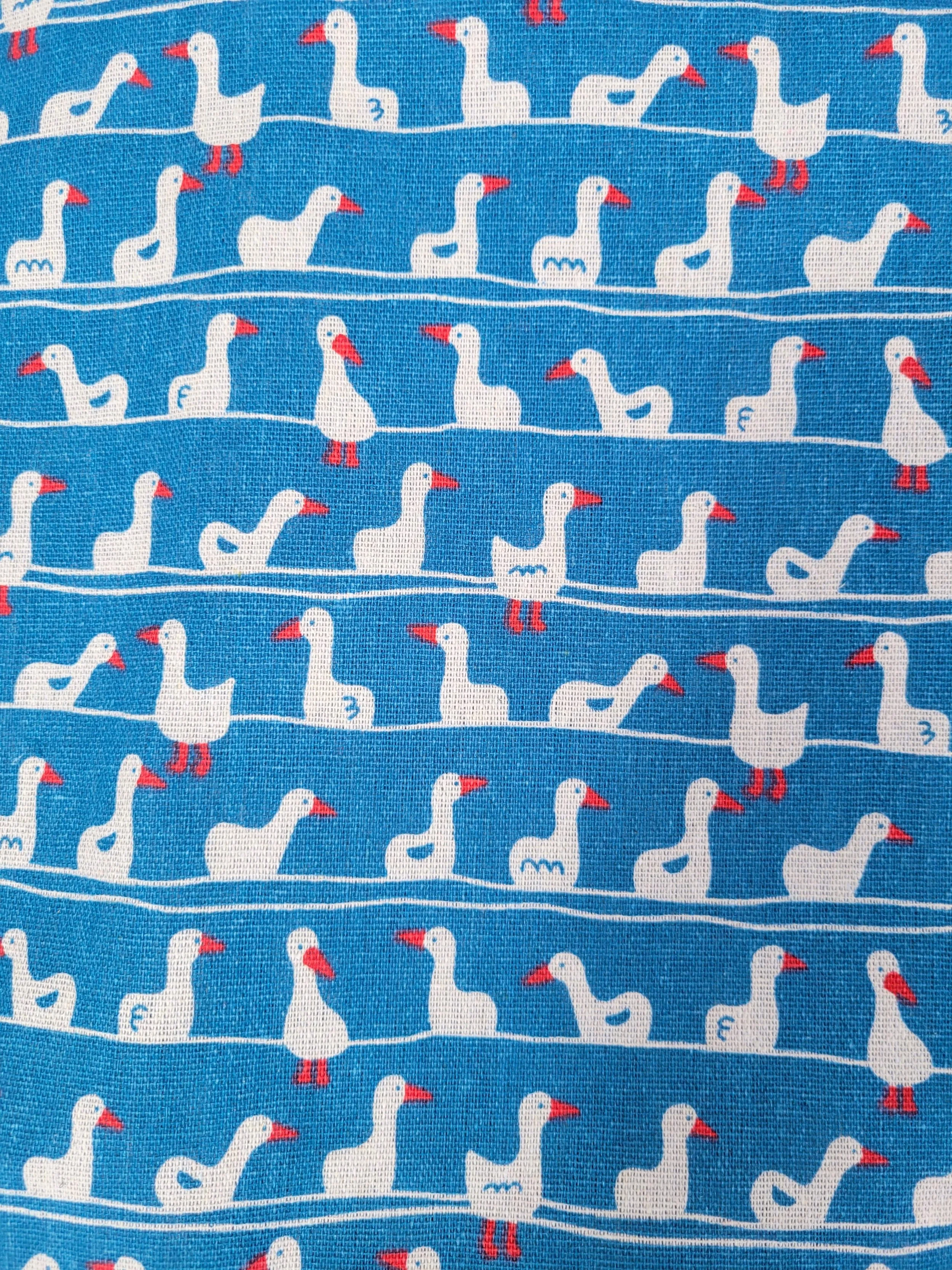 Blue geese