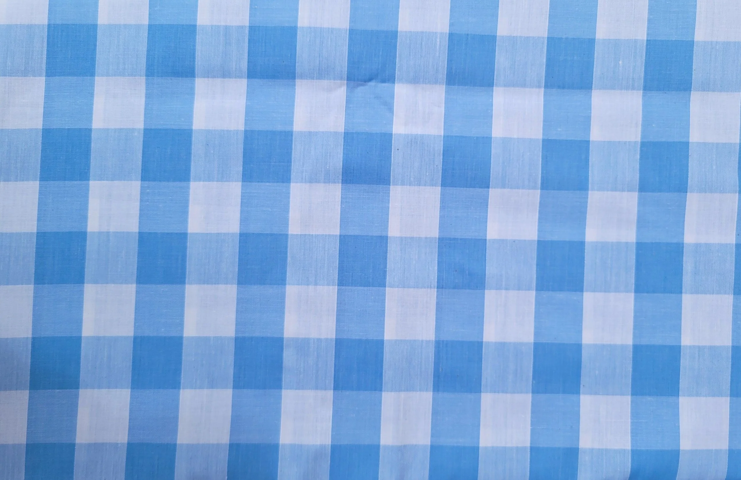 Blue gingham