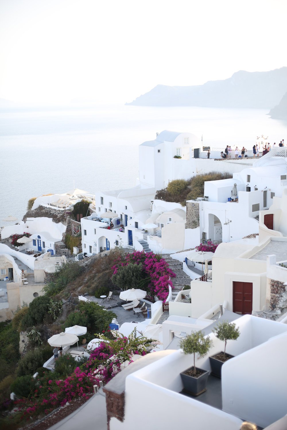 image-asset (1).jpeg