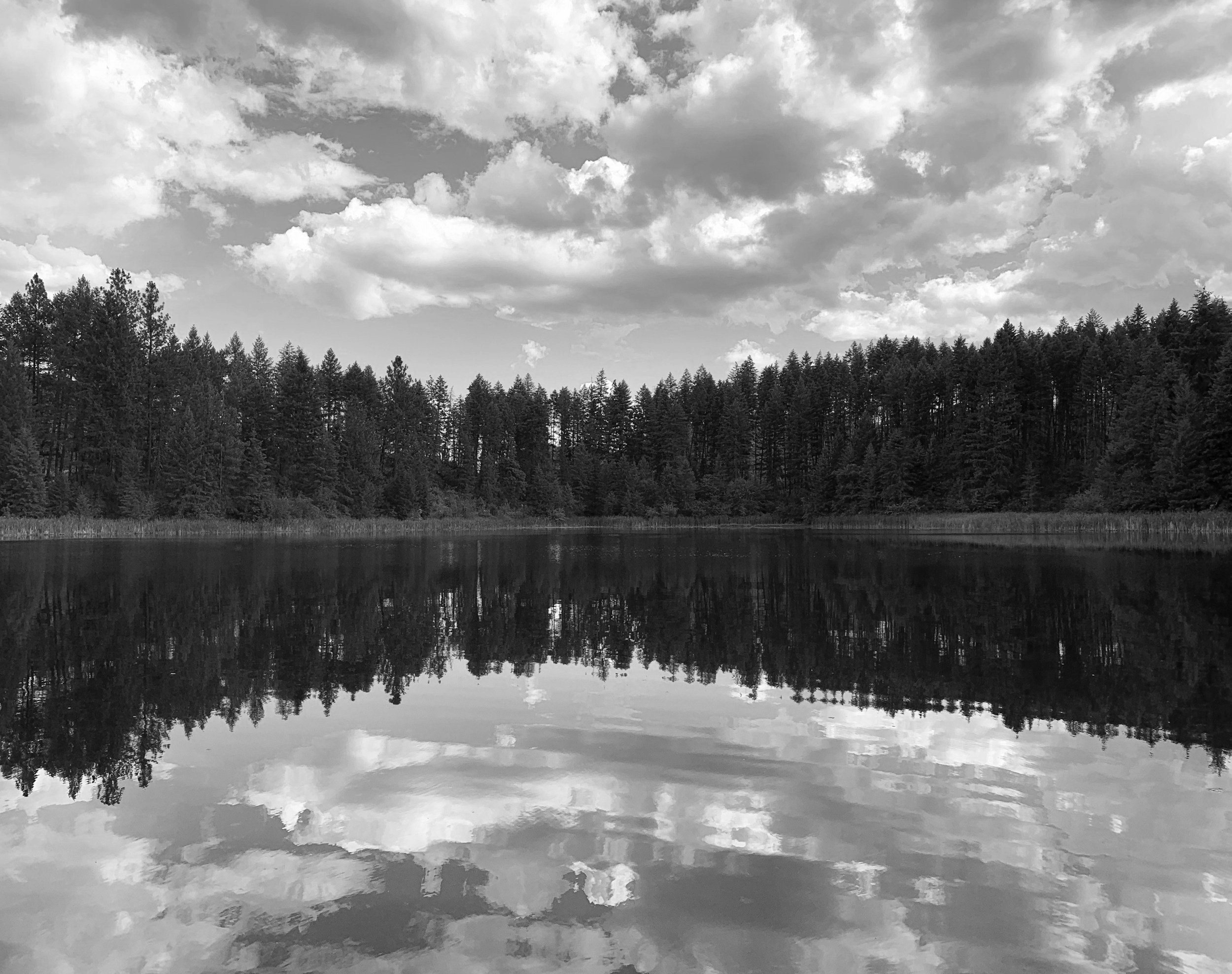 The Original Fruit-Producer