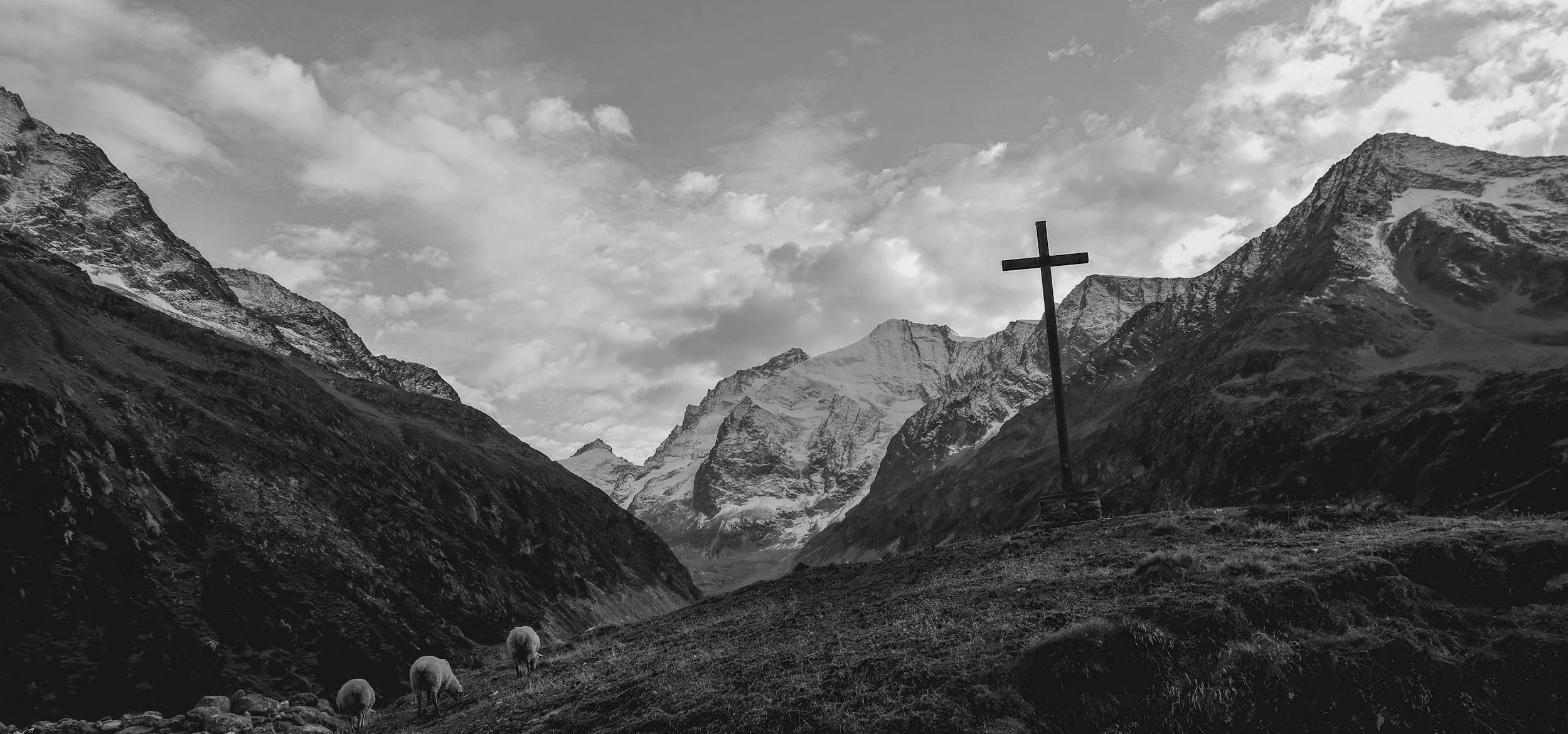 unsplash-image-GXTOhJqgkX8.jpg