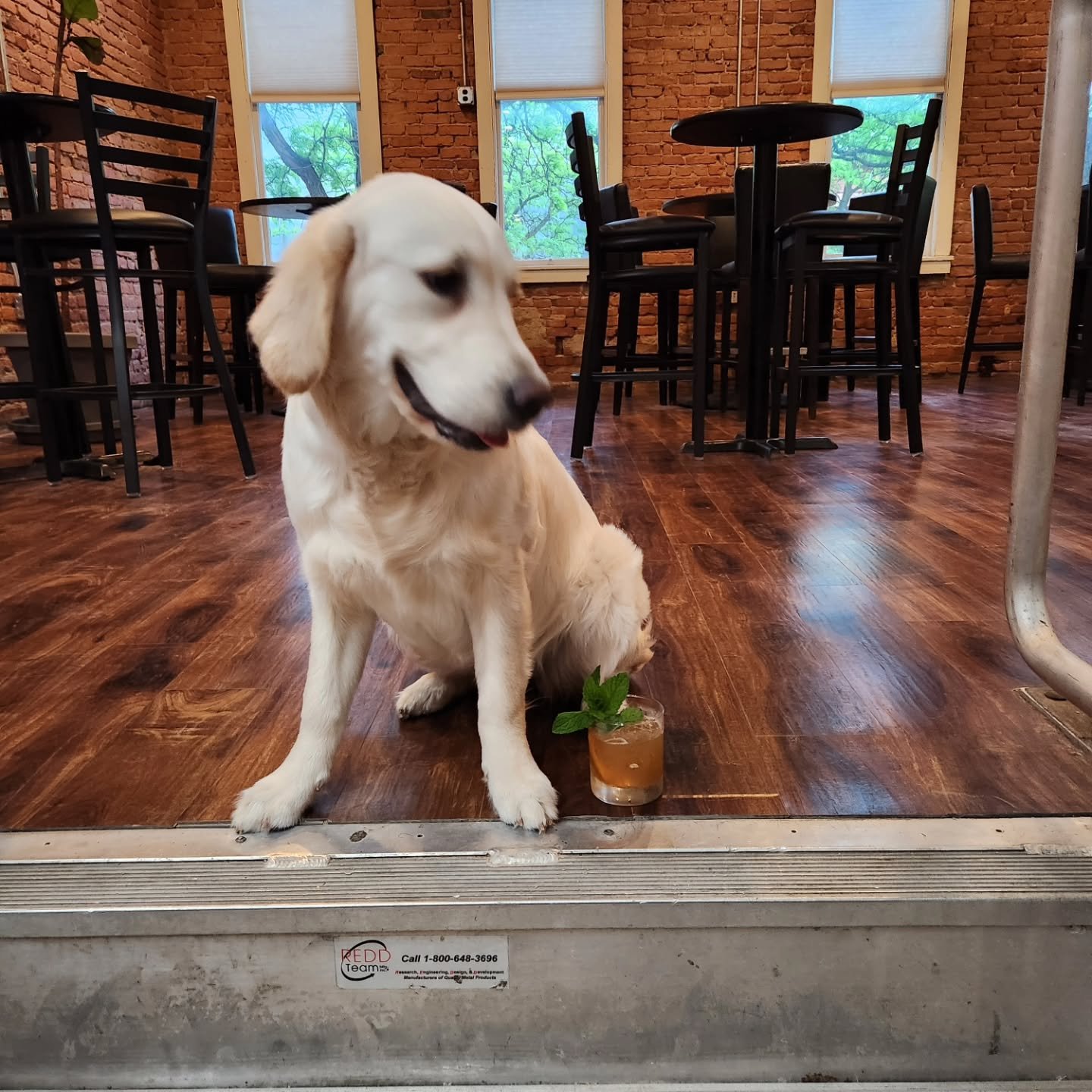 When the photoshoot doesn't go exactly as planned...
But the drinks are Maisey Approved! Haha