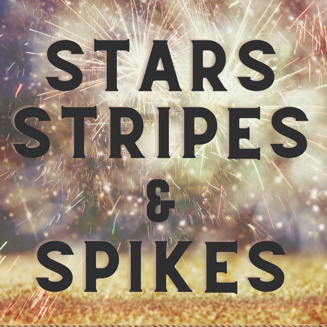 Stars Stripes &amp; Spikes Coed Doubles Tourney