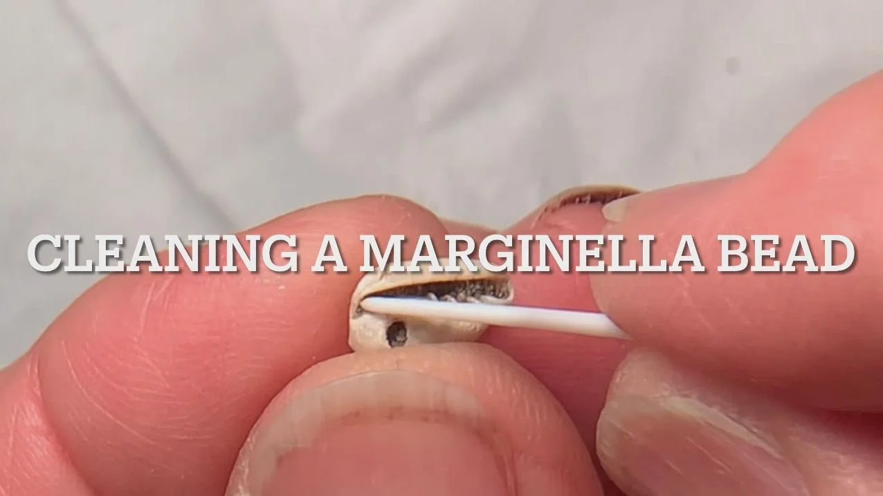 Cleaning a Marginella Bead