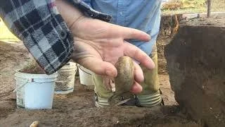 MCB Livecast From the Site