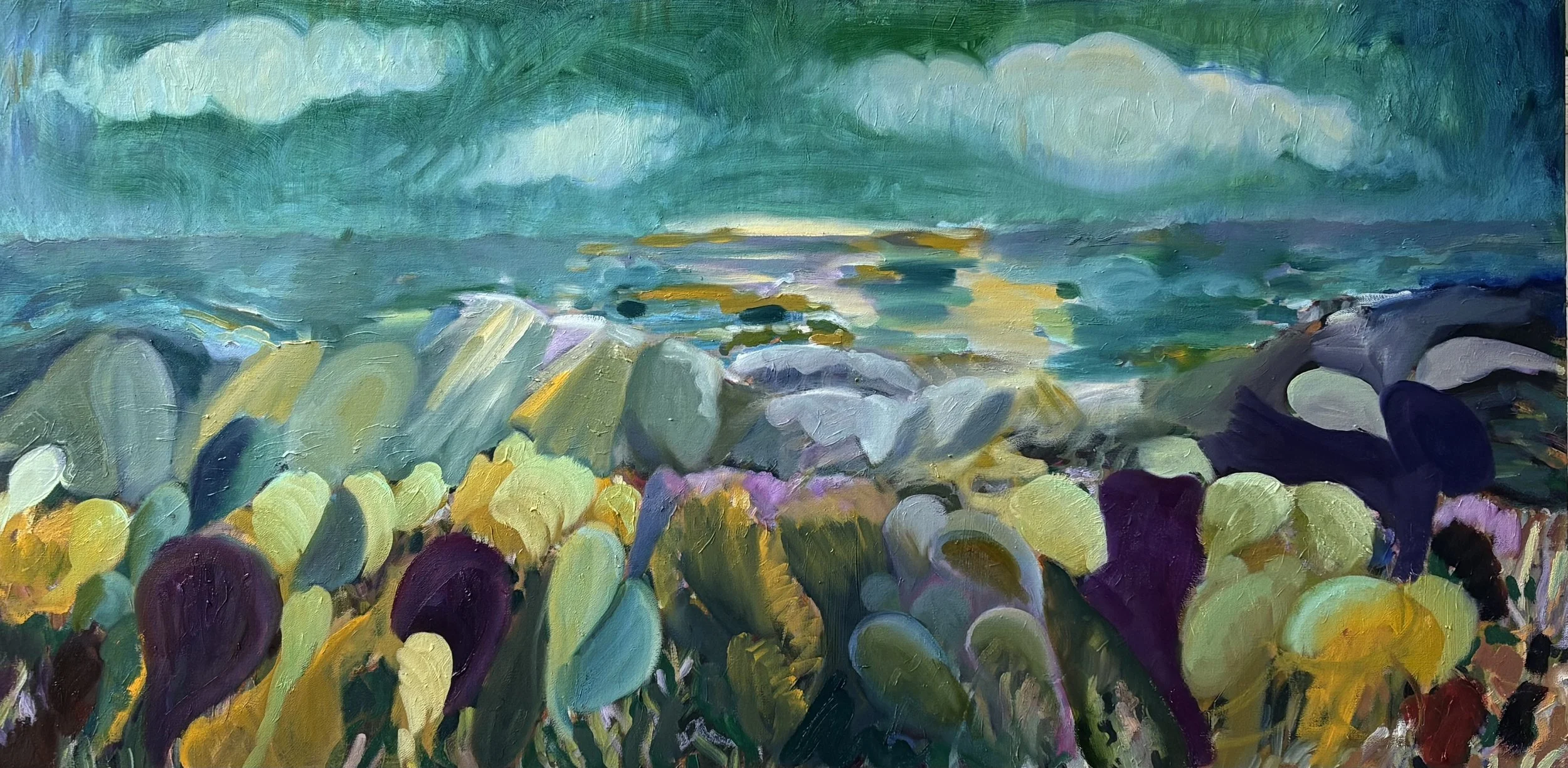Cliff, 2026, Oil on canvas, 24 x 48 in