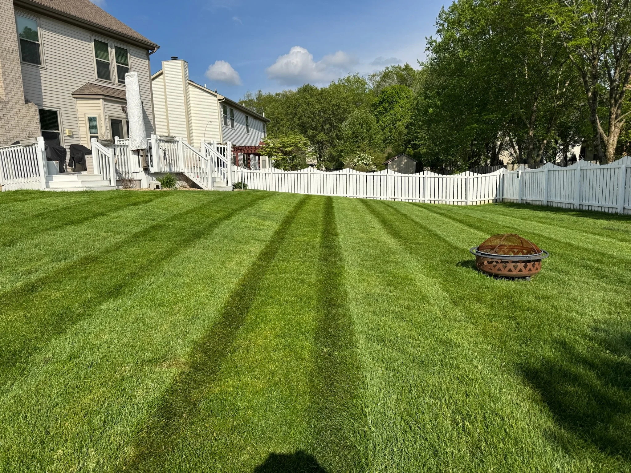 well maintained lawn after professional mowing