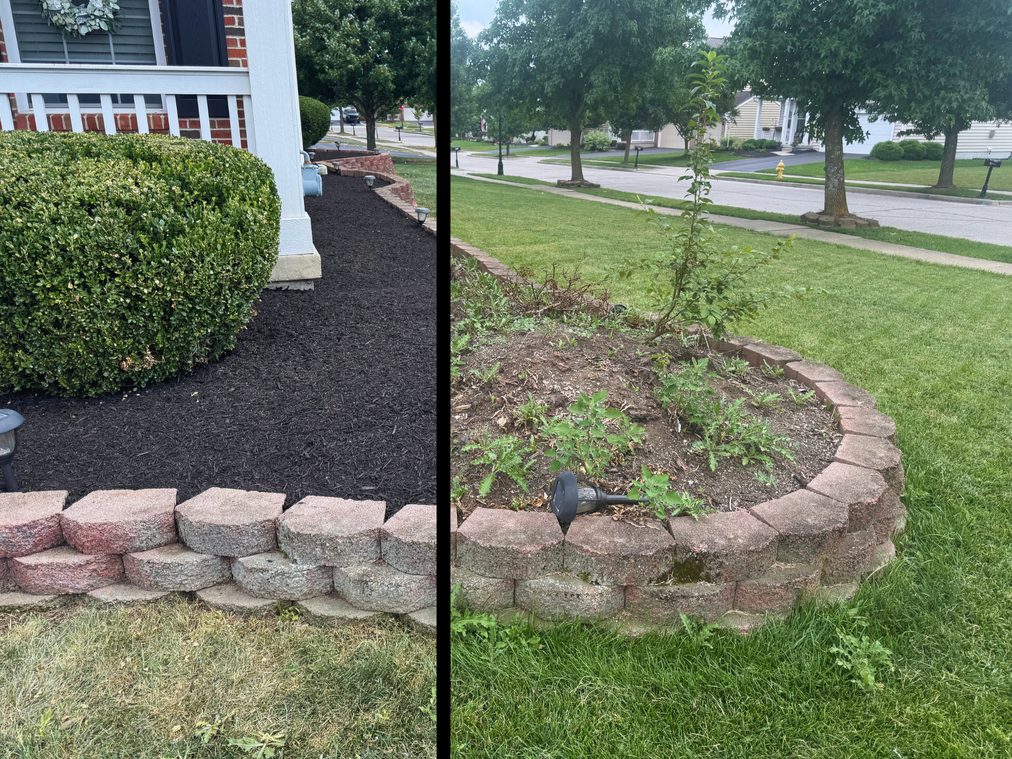 before and after of flower bed with weeds