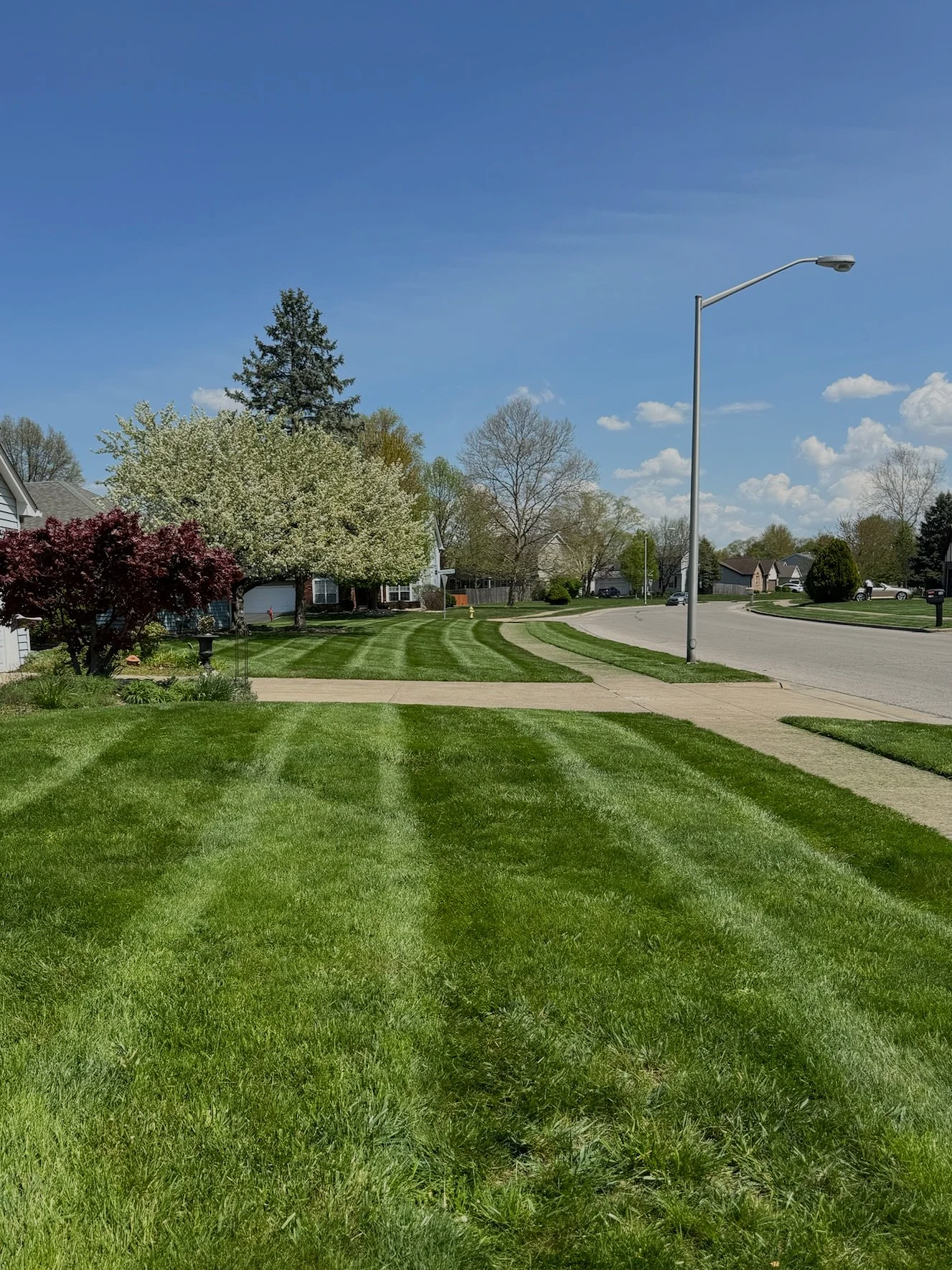 well maintained lawn after weekly mowing service
