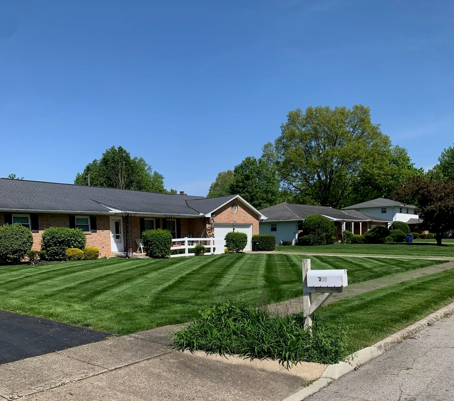 fresh cut lawn with perfect stripes