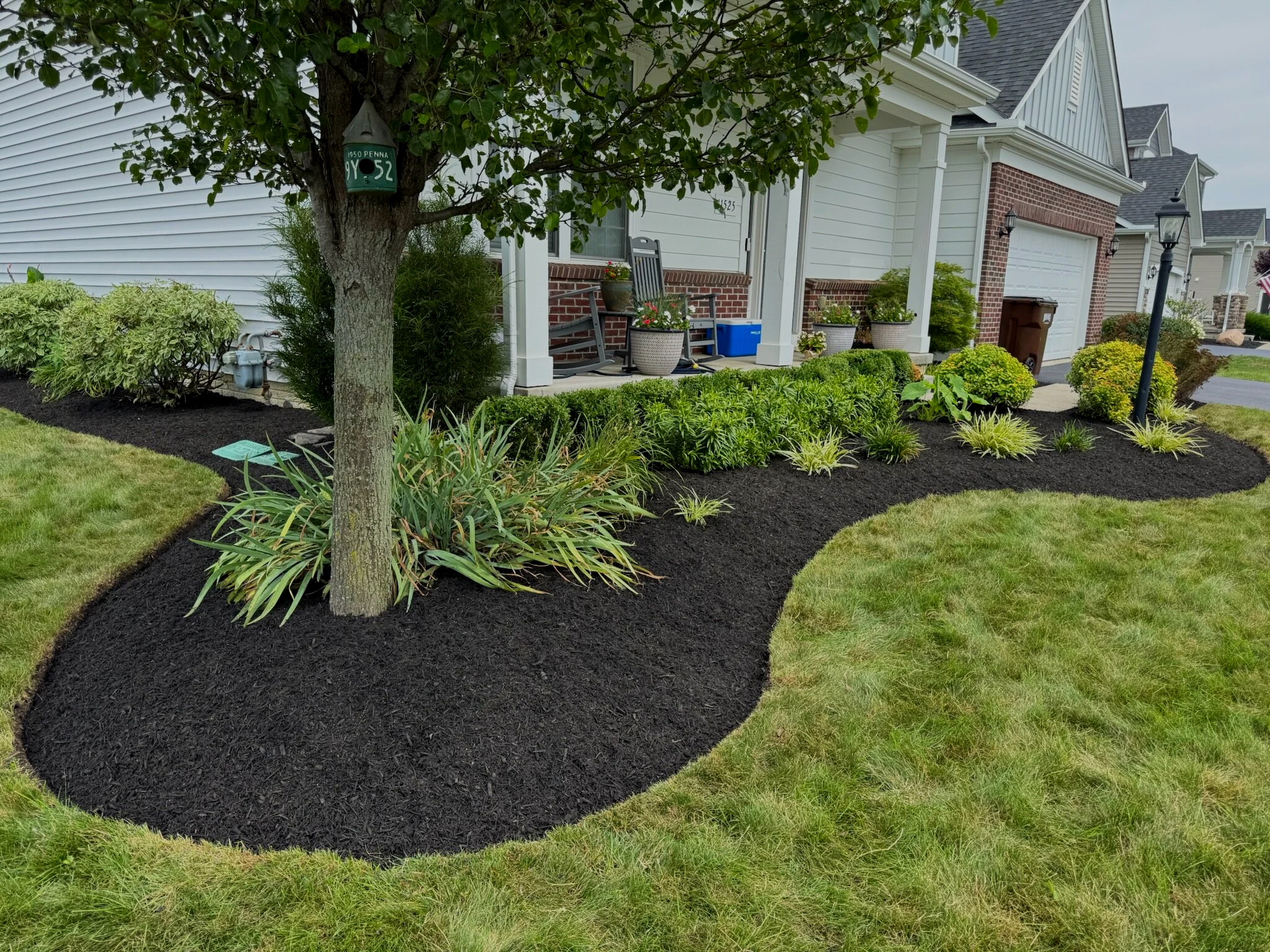 fresh black mulch to boost curb appeal