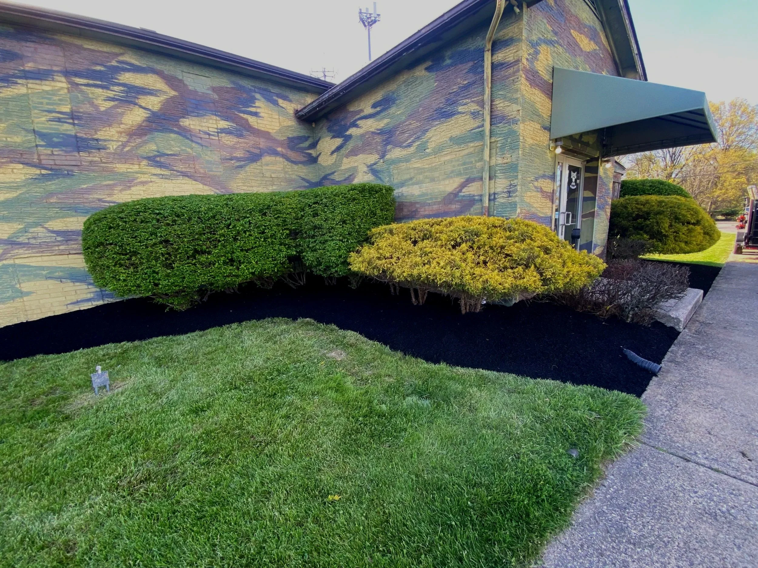 commercial landscaping around plants