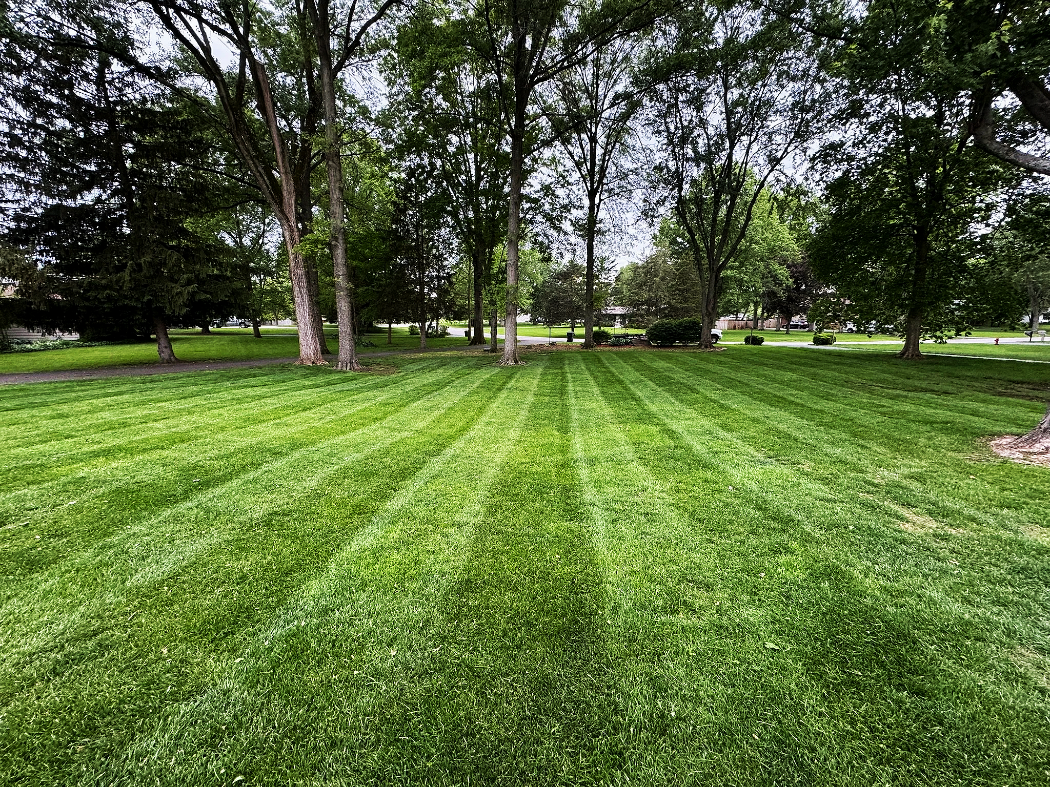 pickerington lawn mowing with consistent results